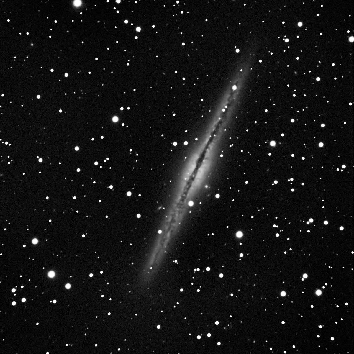 NGC891_ACF_L_65.jpg