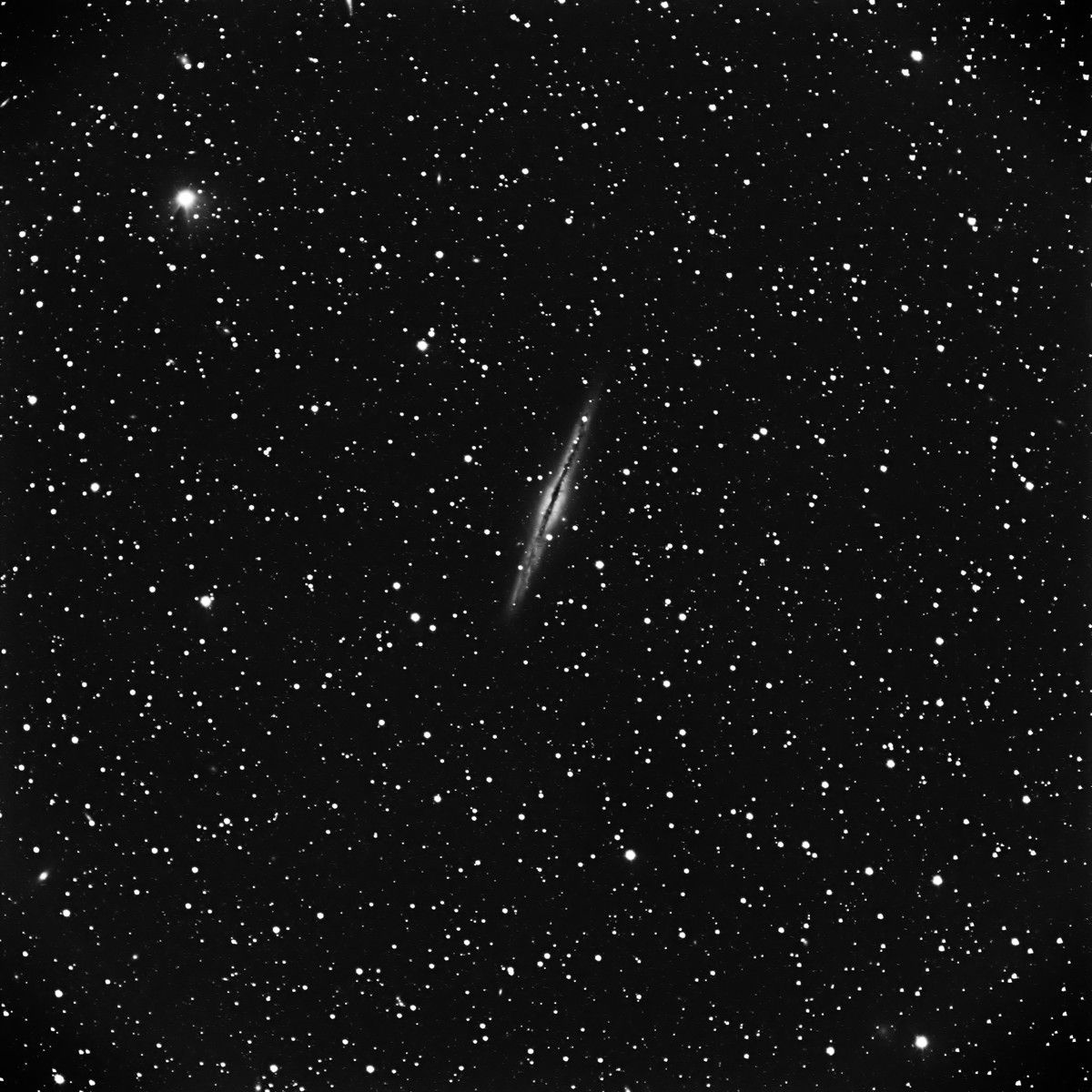 NGC891_APO_L_60.jpg