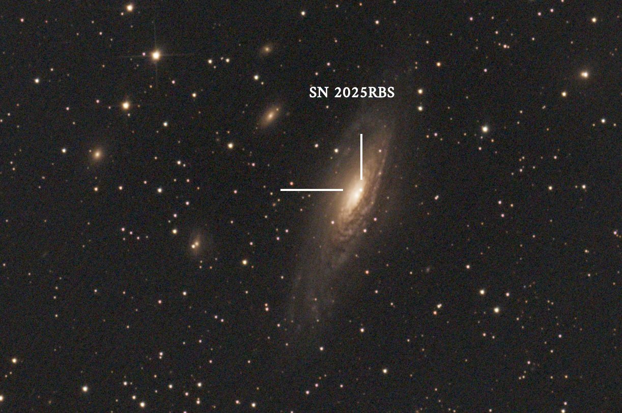 NGC_7331_SN 2025RBS.jpg