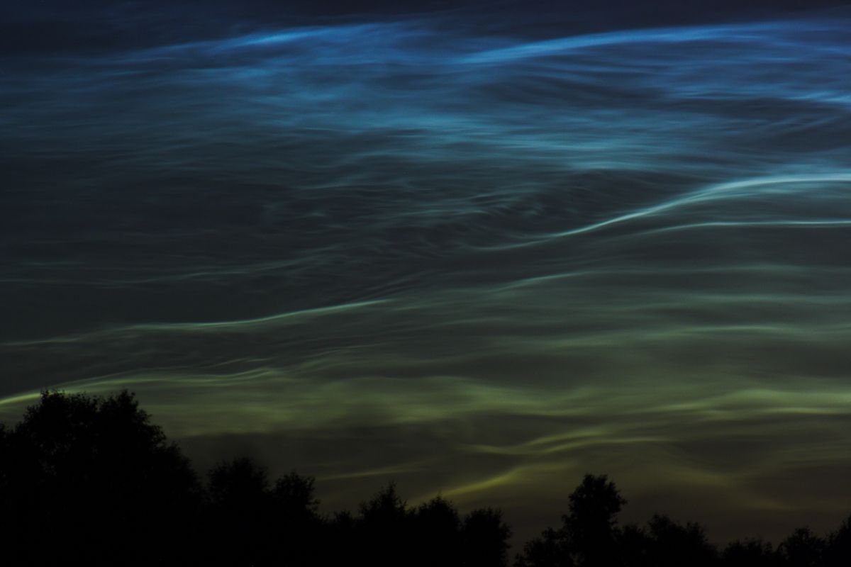 NLC1.jpg