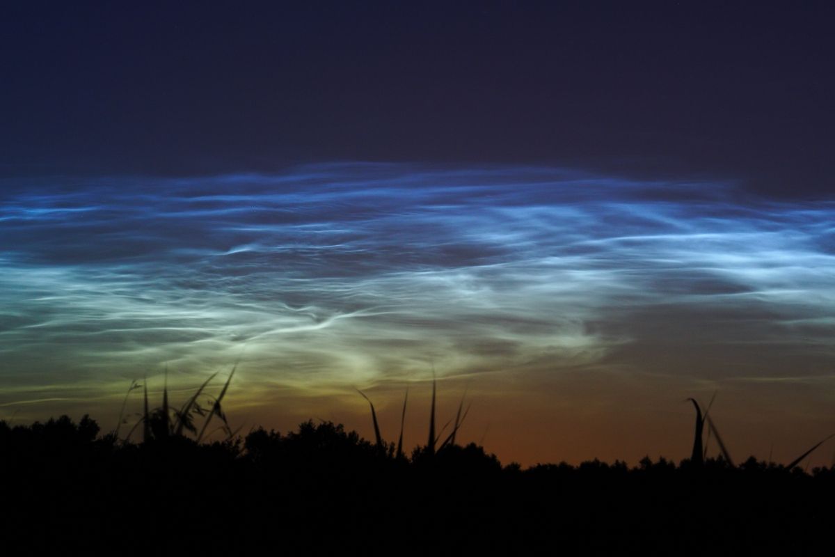 NLC3.jpg