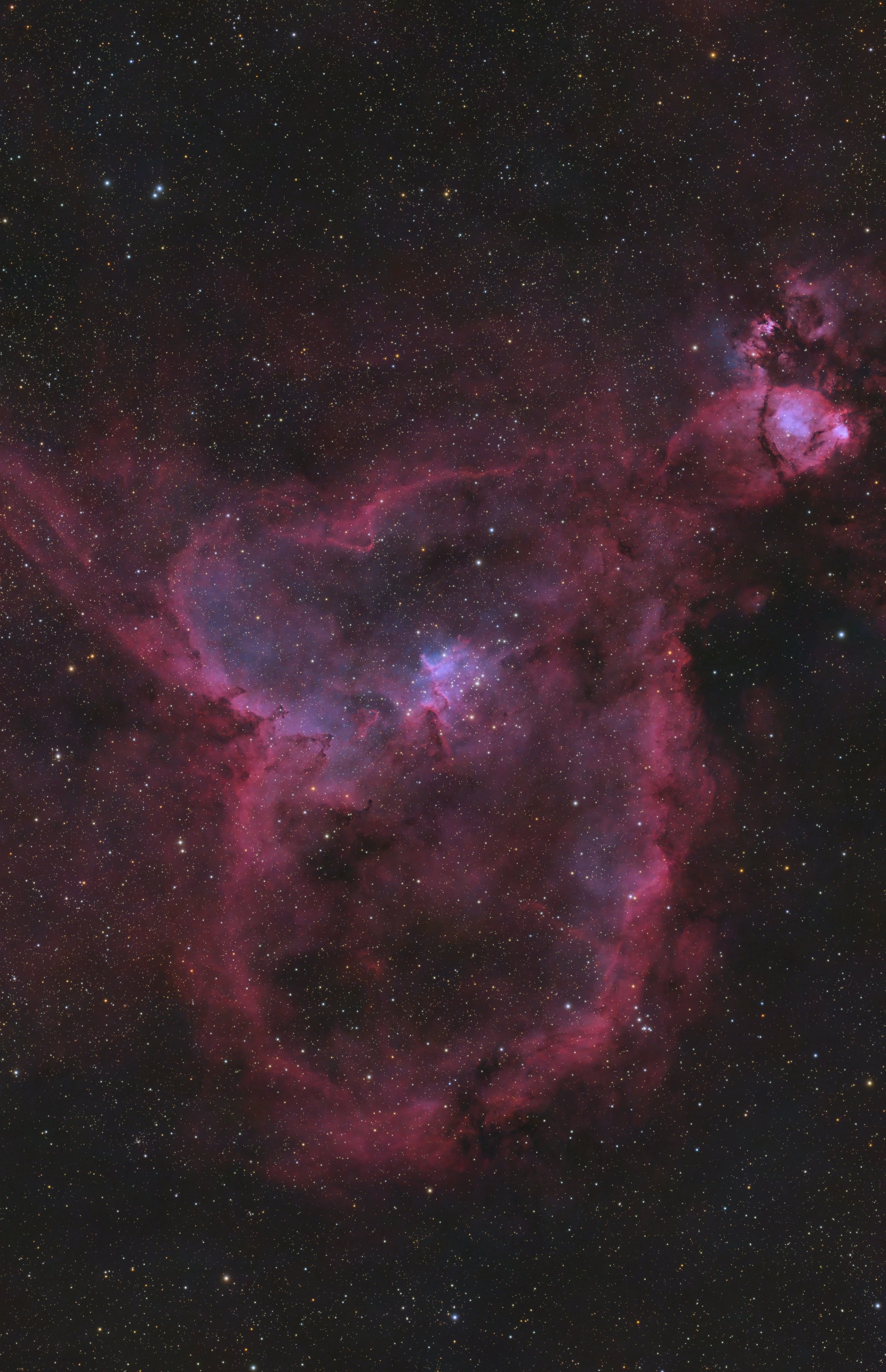 noch ein Seestern - IC1805