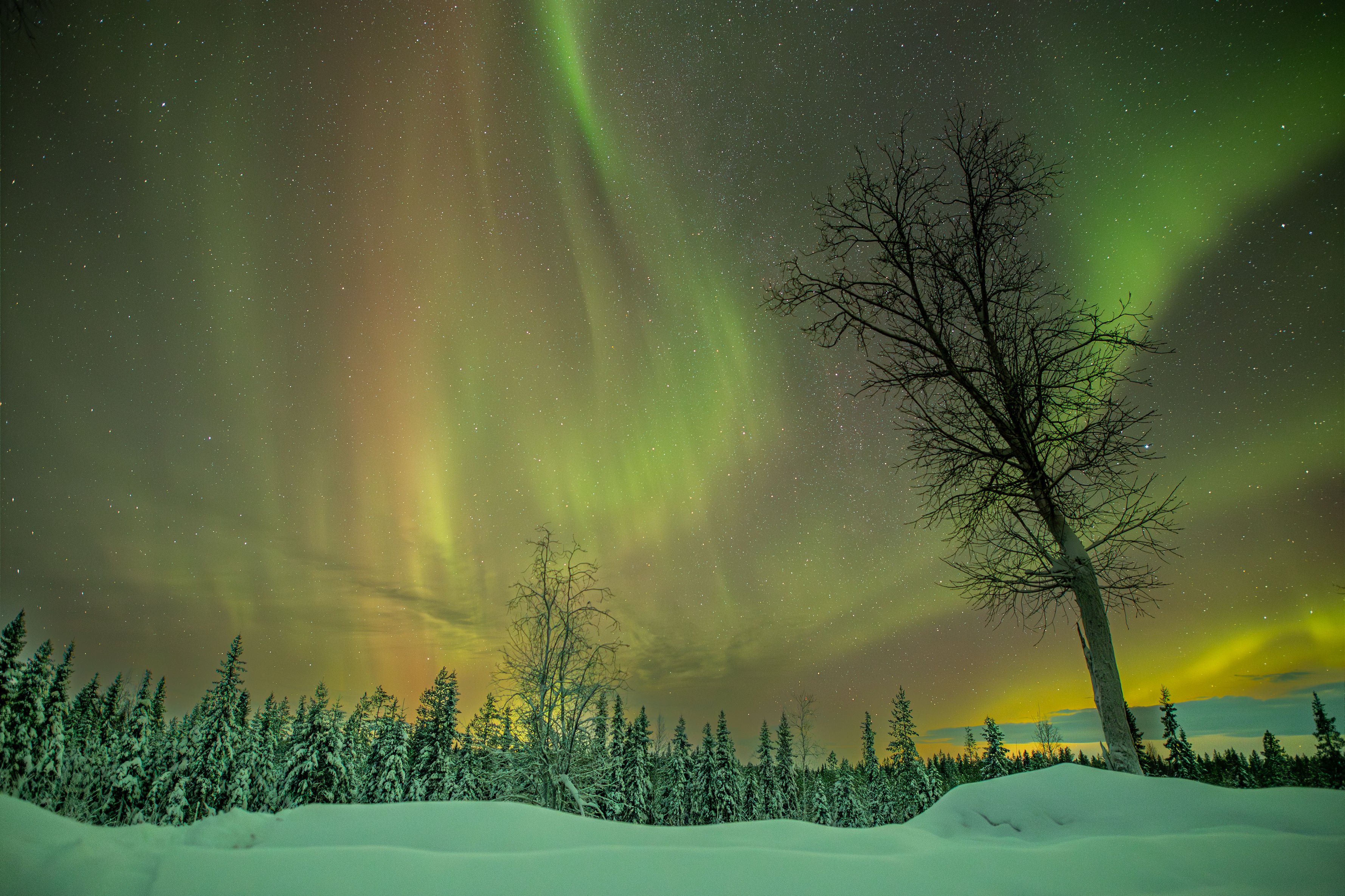 Nordlichter in Schweden
