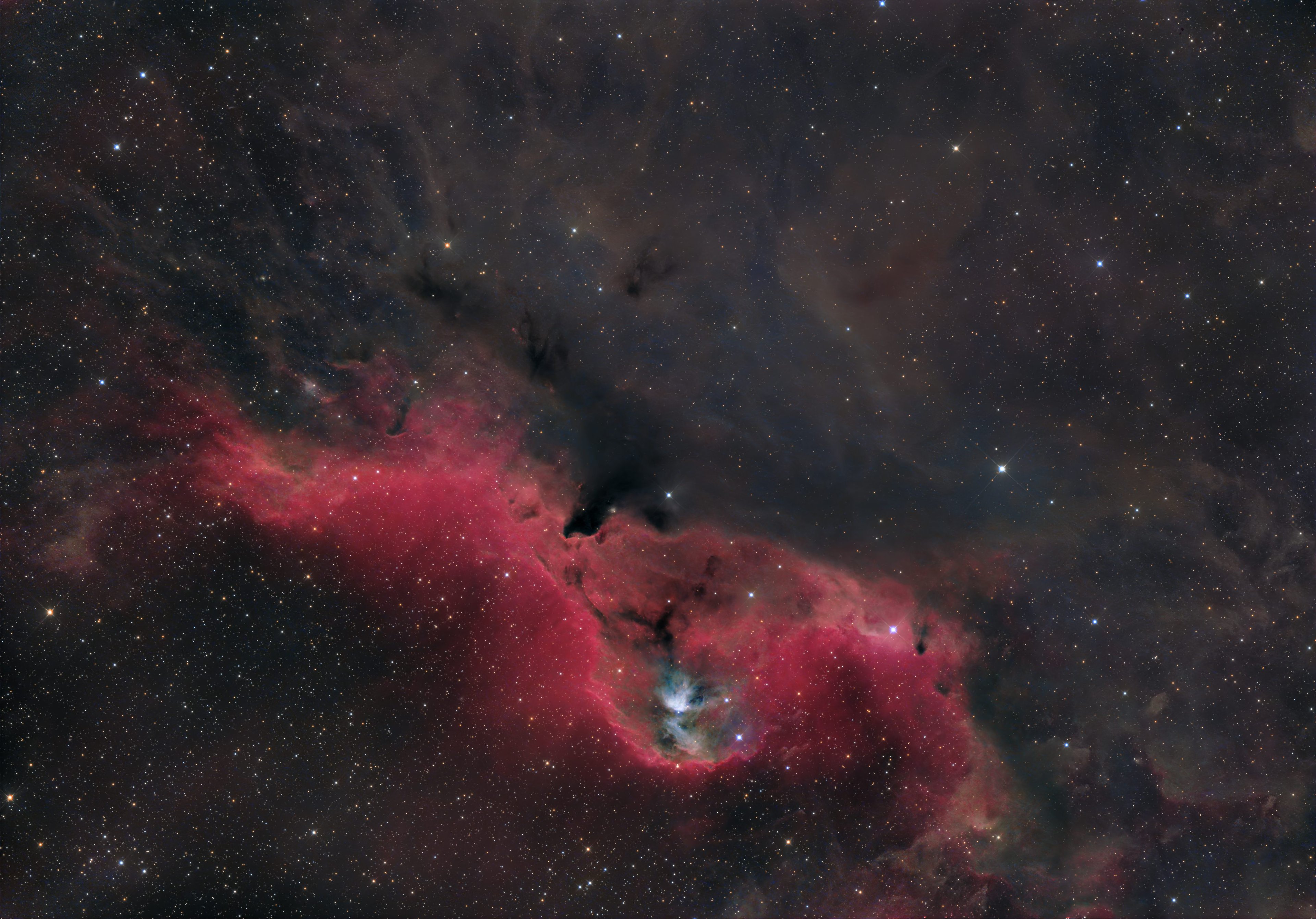 Orion-Region bei LDN1584