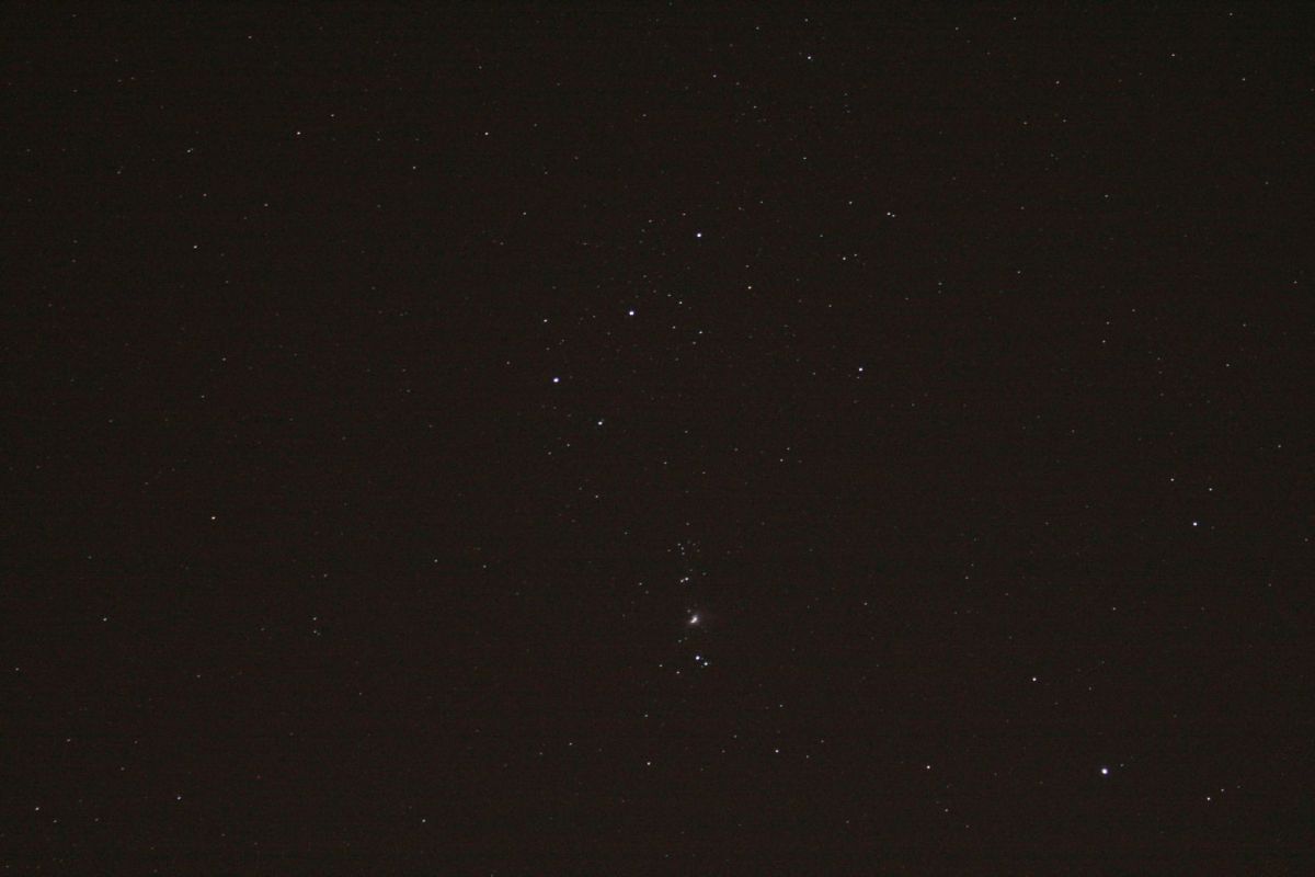 Orion