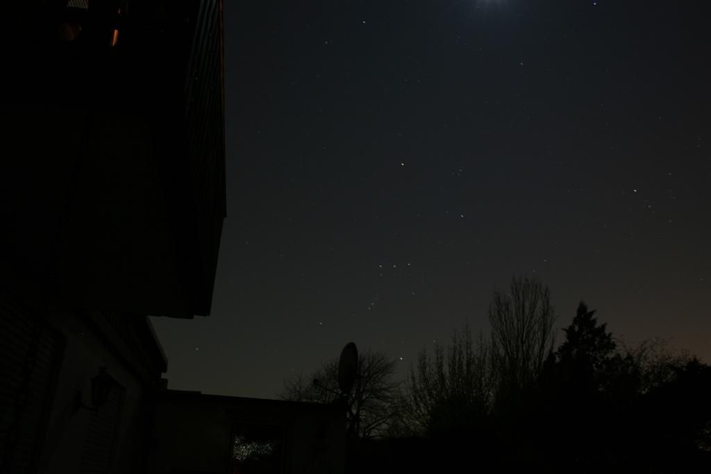 Orion