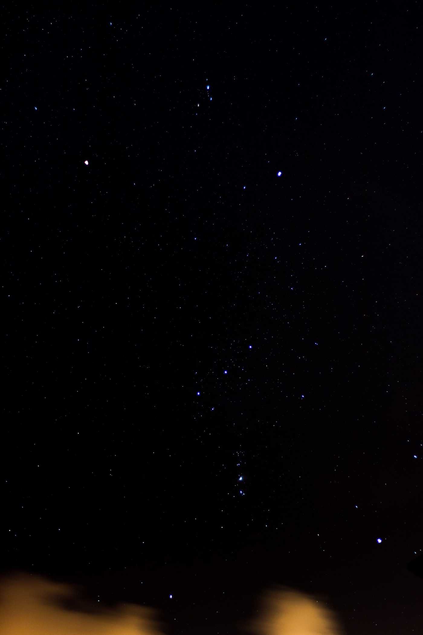 Orion