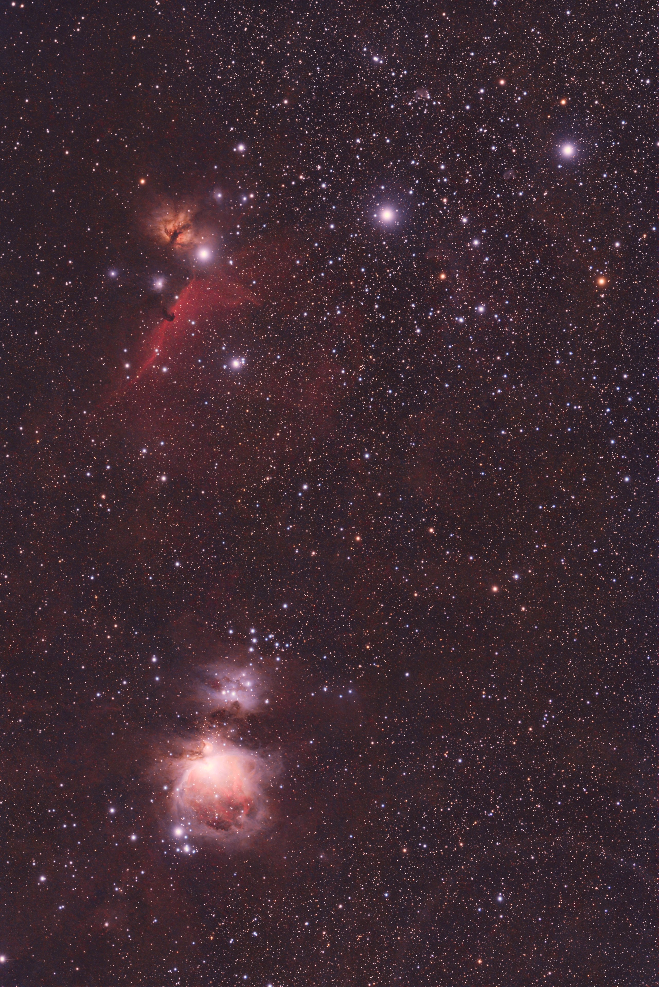 Orion