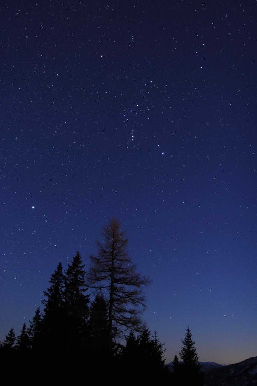 Orion2.jpg