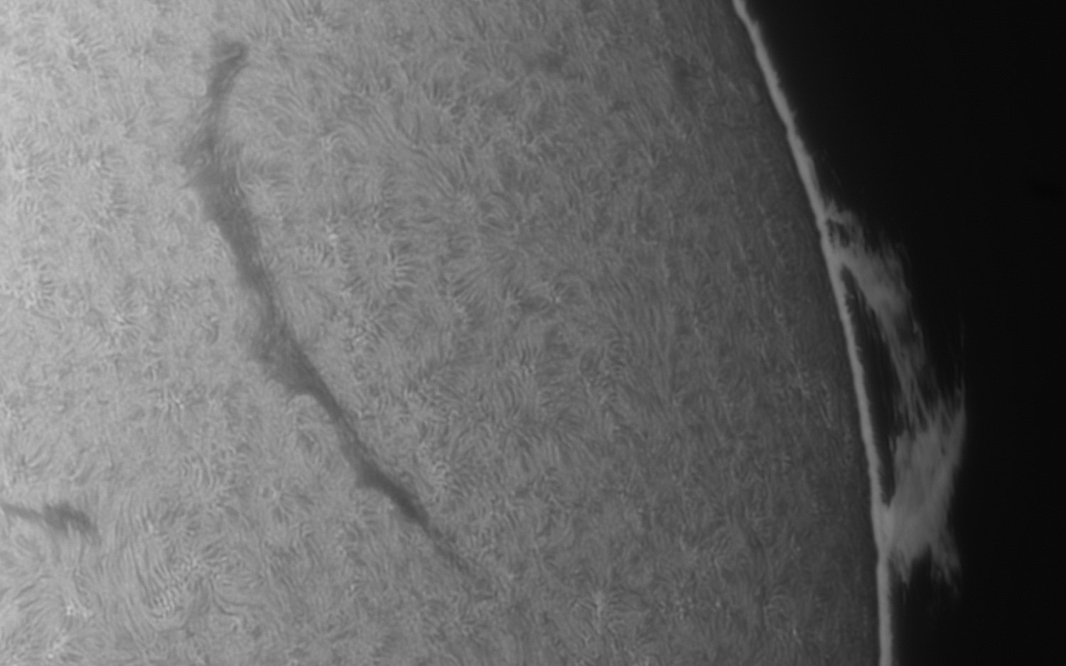 Ostrand der Sonne in H-alpha vom 12.07.2026