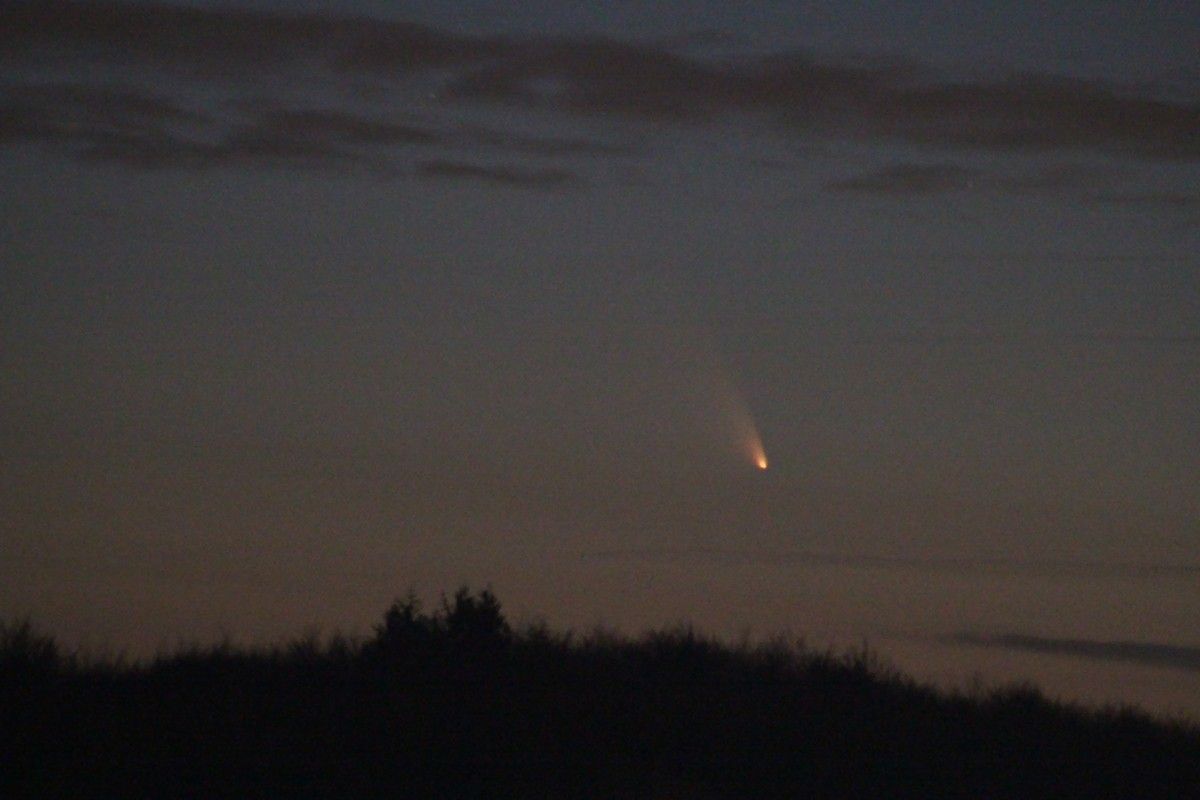 Panstarrs aus Schleswig Holstein