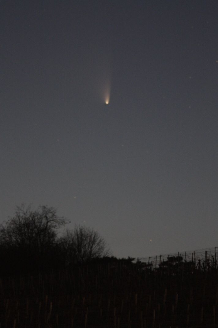Panstarrs