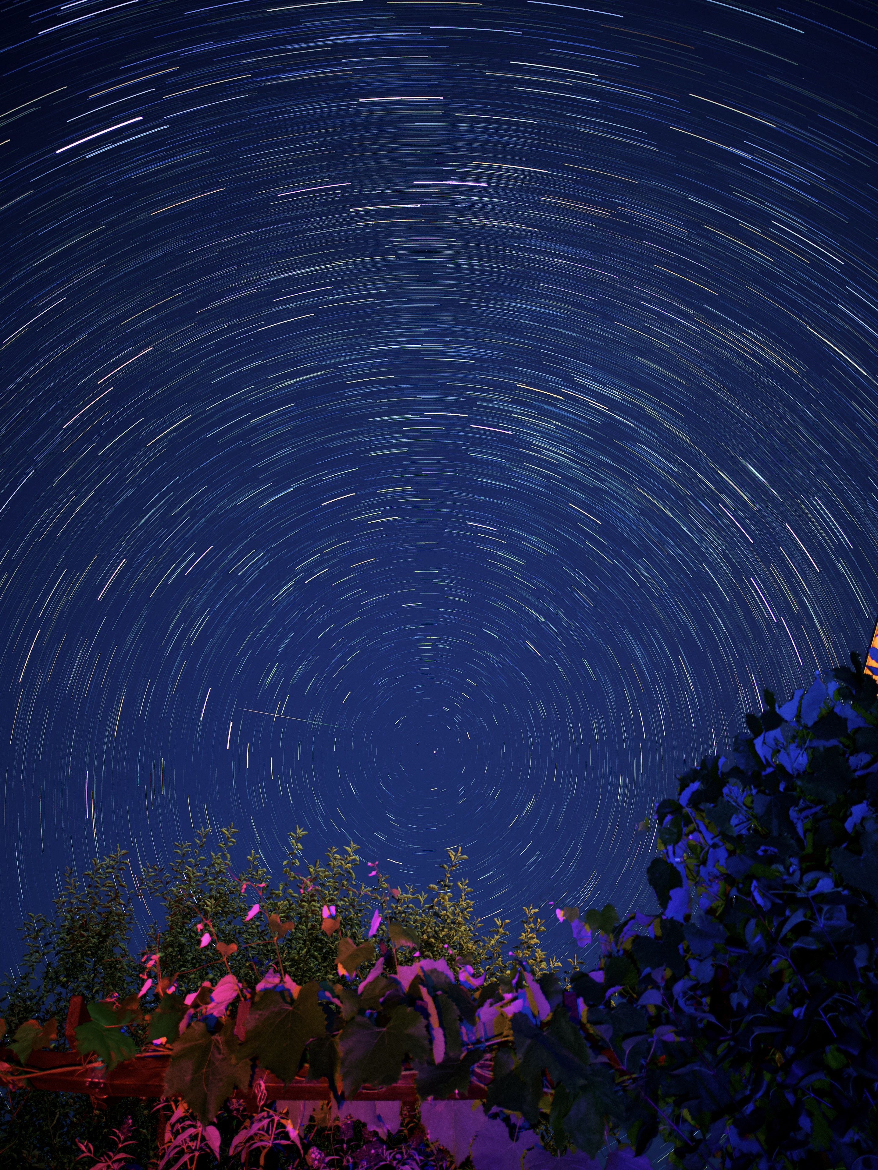 Perseiden bei Startrails Aufnahme erwischt
