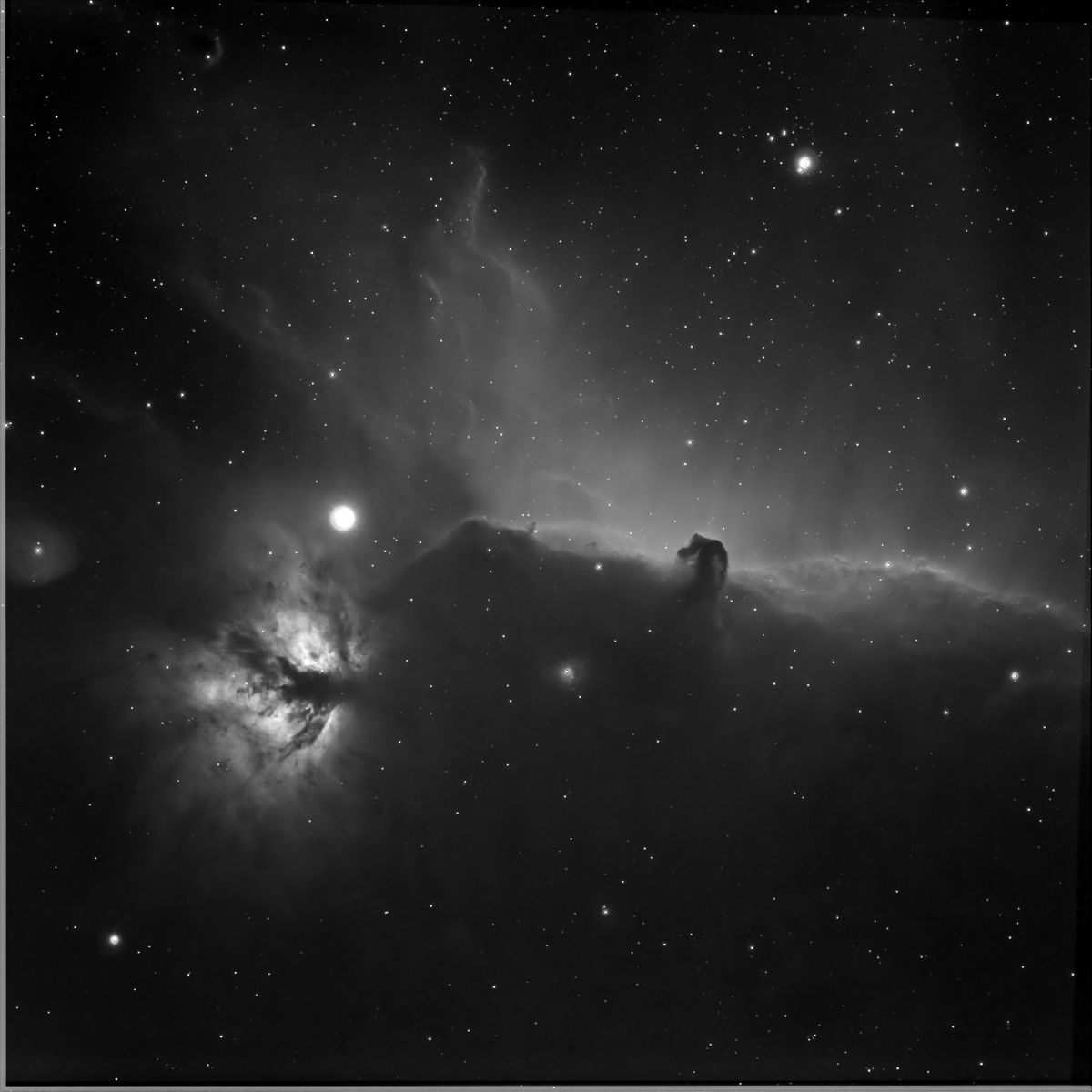 Pferdekopfnebel in H-Alpha