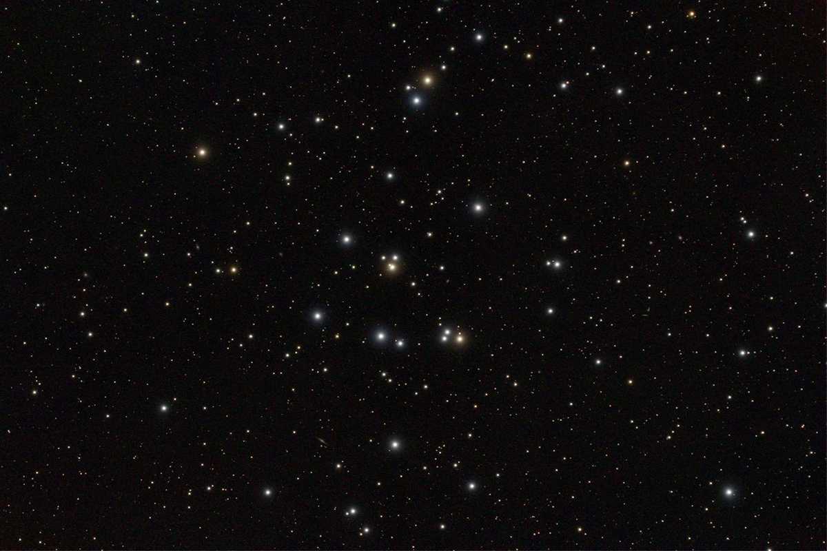 Präsepe / M44
