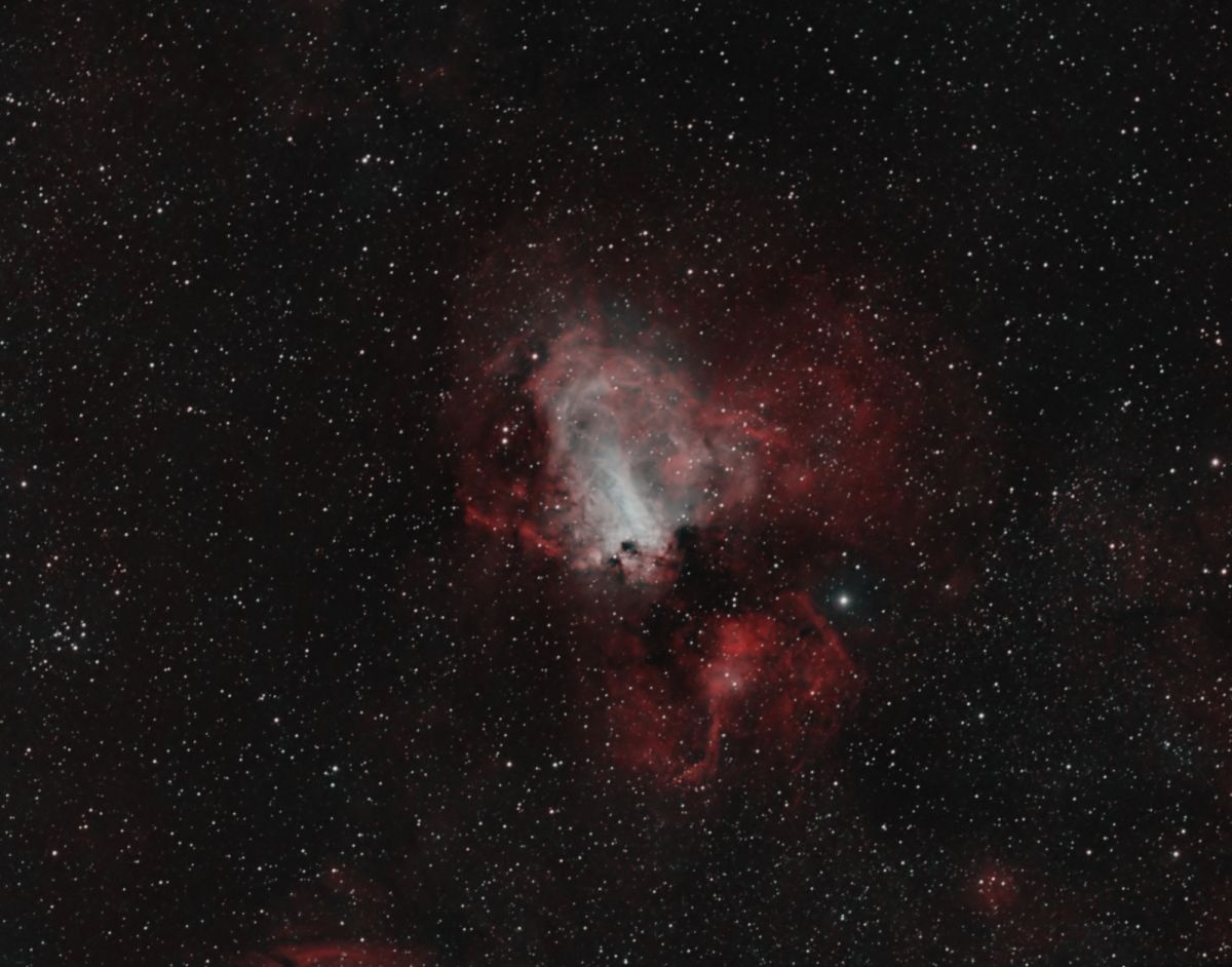Reg_M17-BICOLOR.jpg