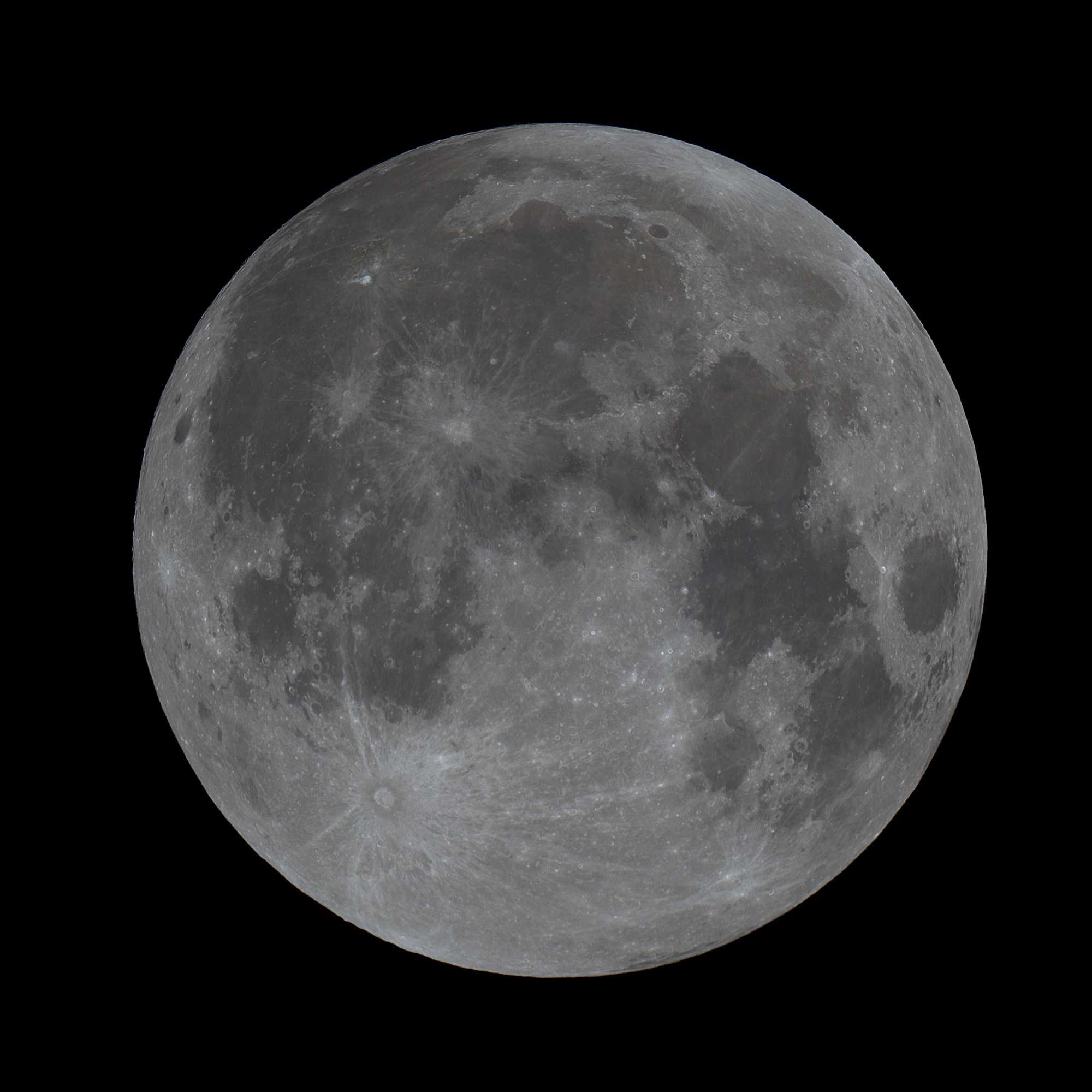 RGB_IMG_0762_Entemond.jpg