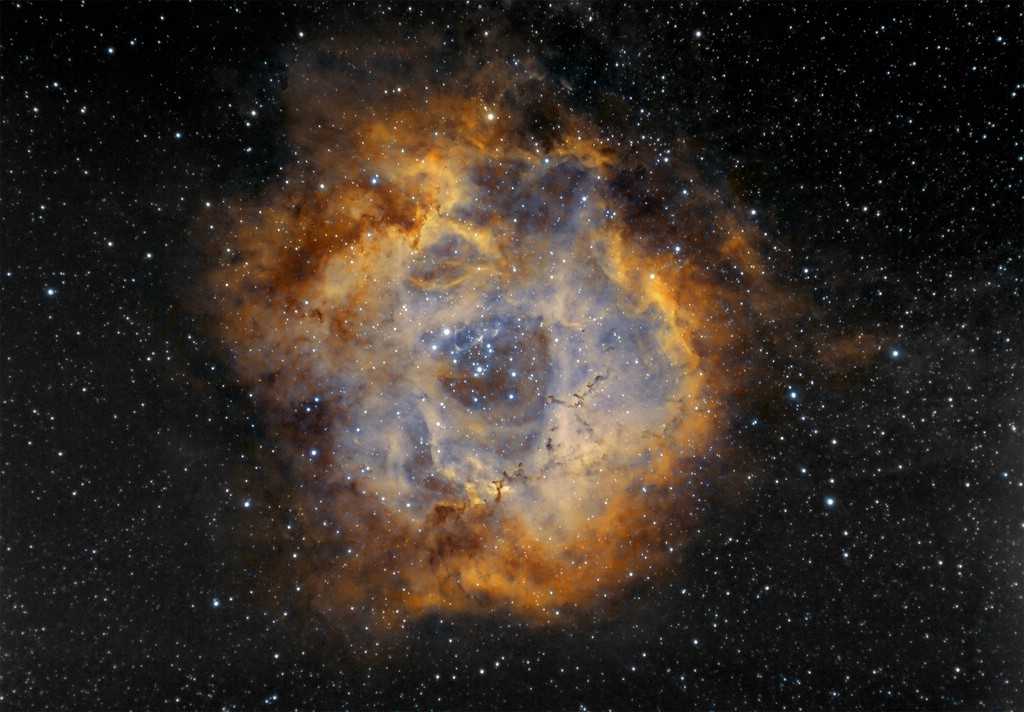 Rosette kurz anbelichtet mit der DSLR in BiColor