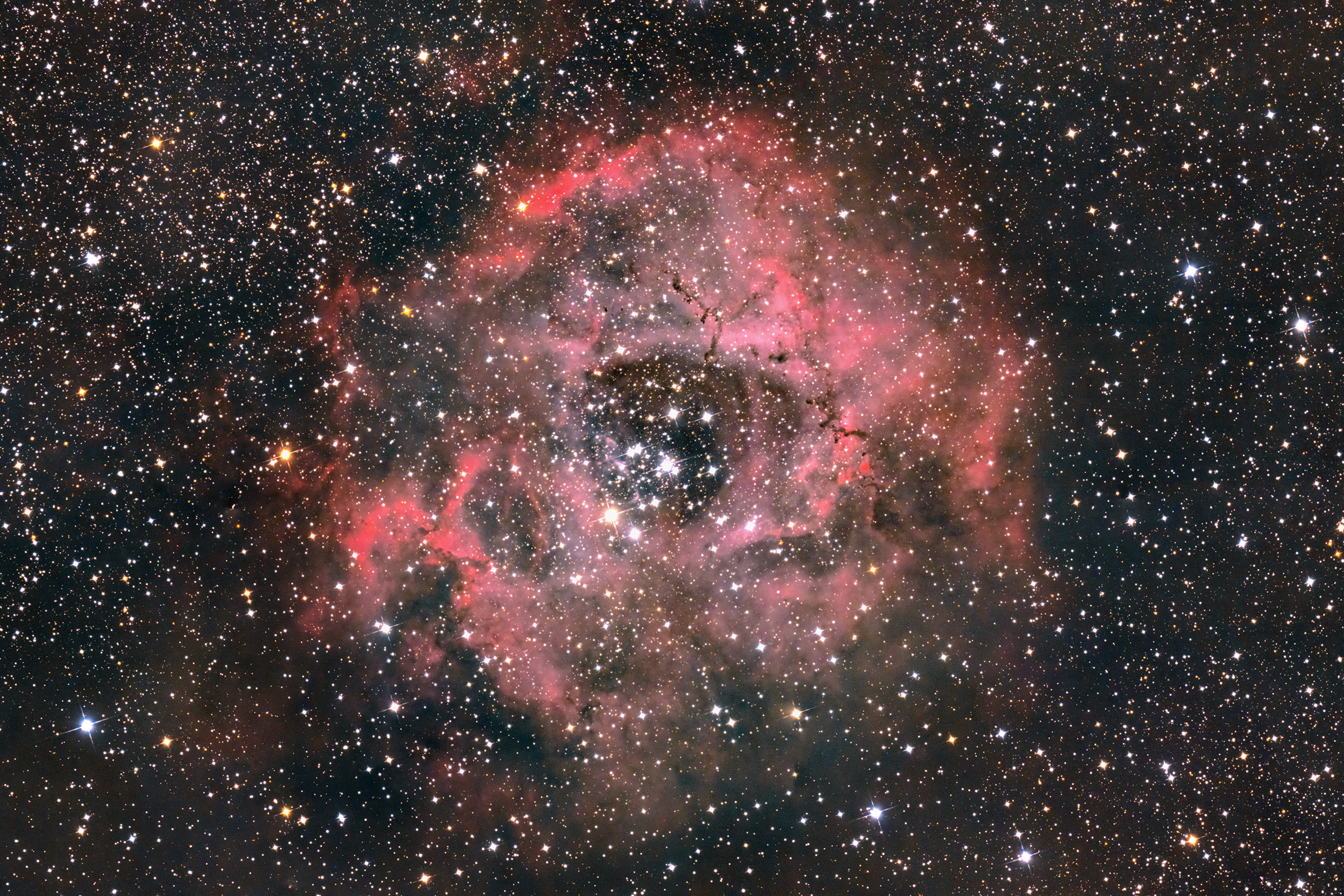 Rosette Nebula
