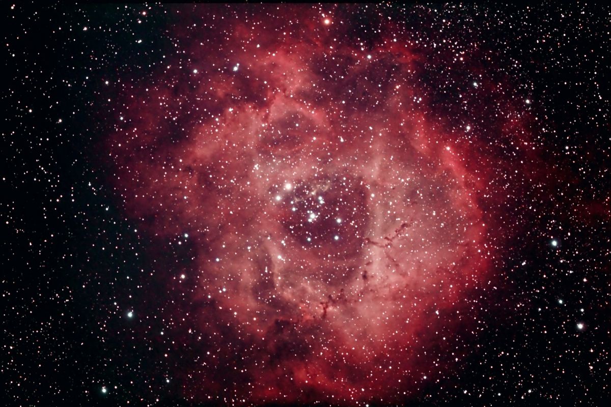 Rosette