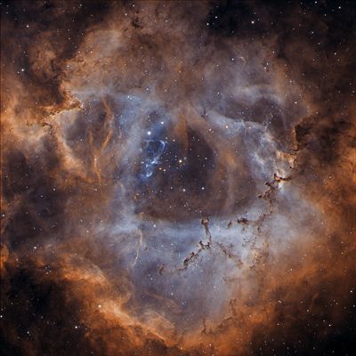 Rosette_Bicolor1_Vorschau.jpg