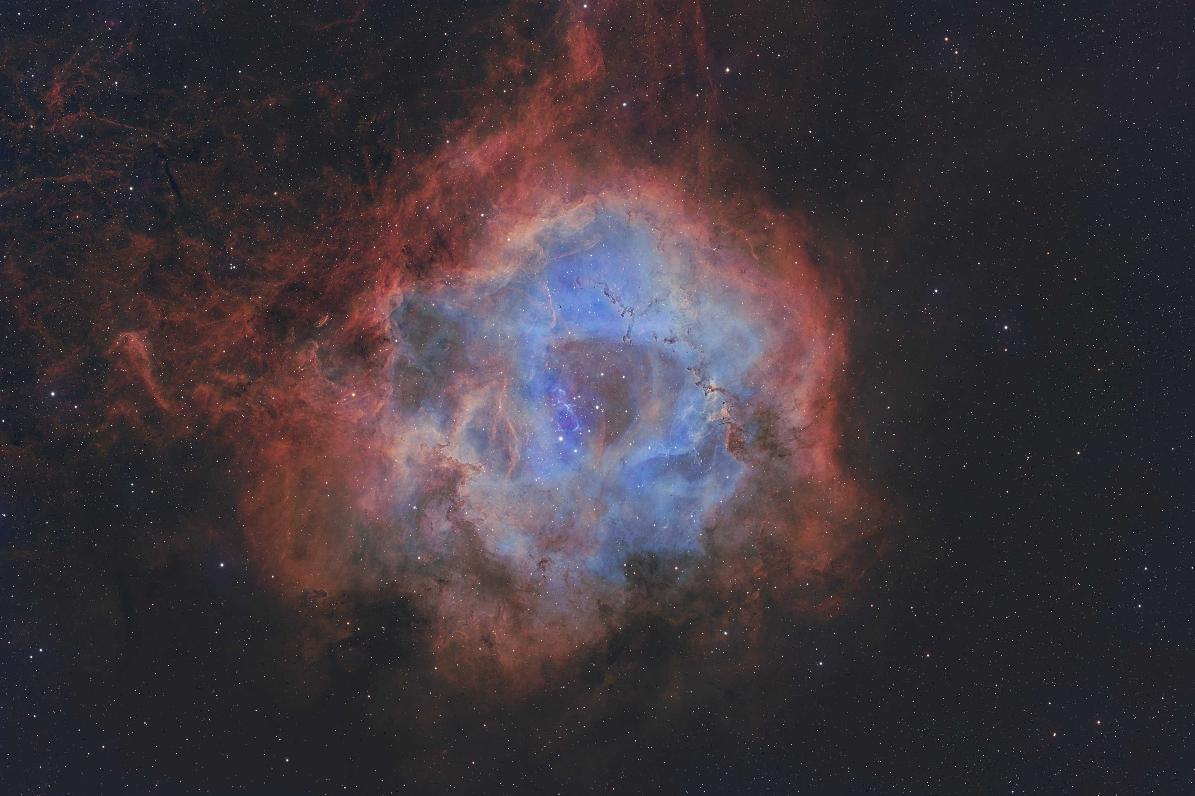 Rosette_fini_neu.jpg