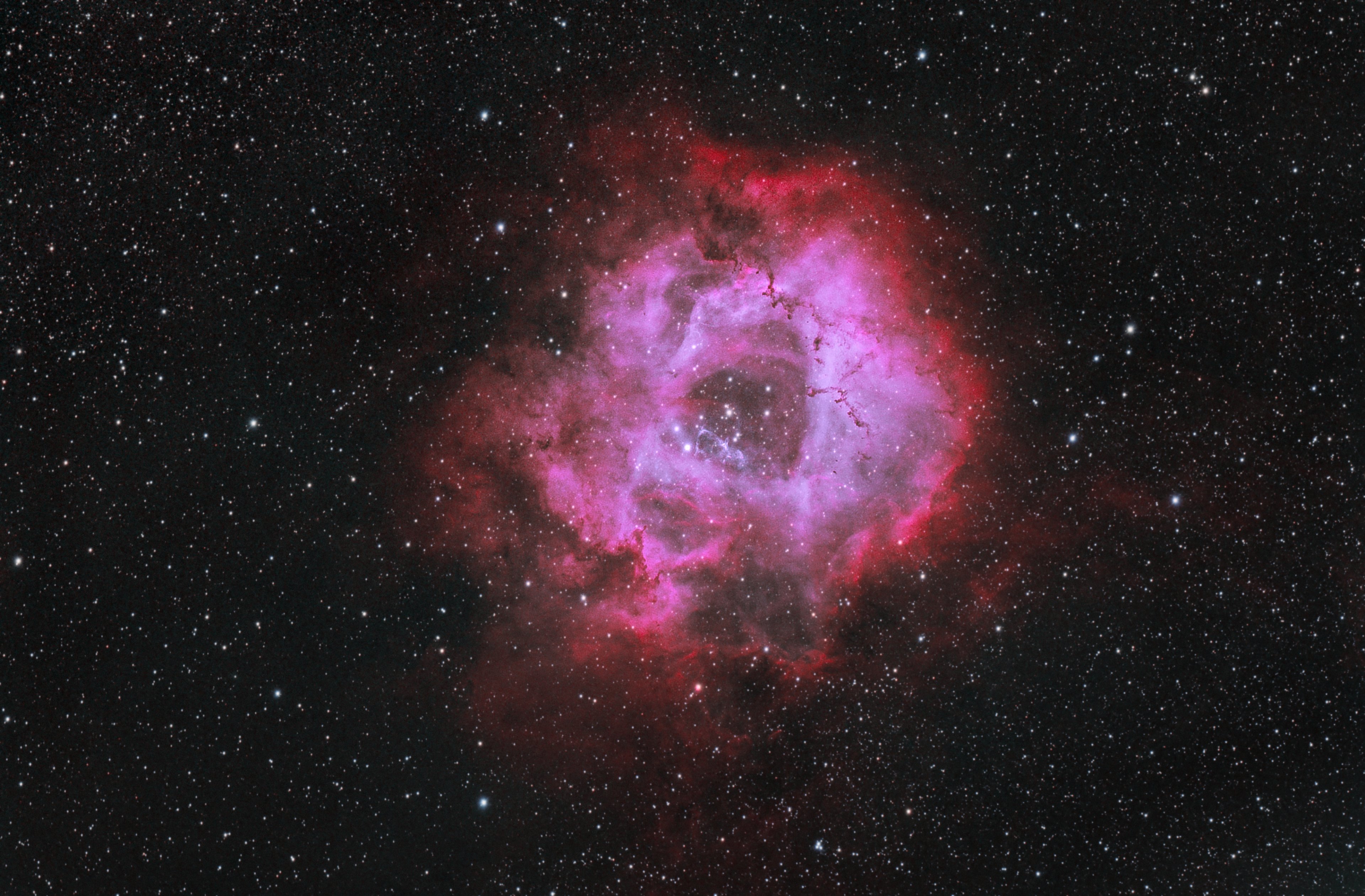 Rosetten-Nebel NGC2244 in HOO