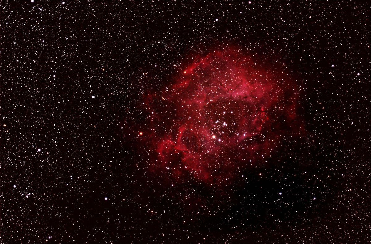 Rosettennebel NGC2244 - Test