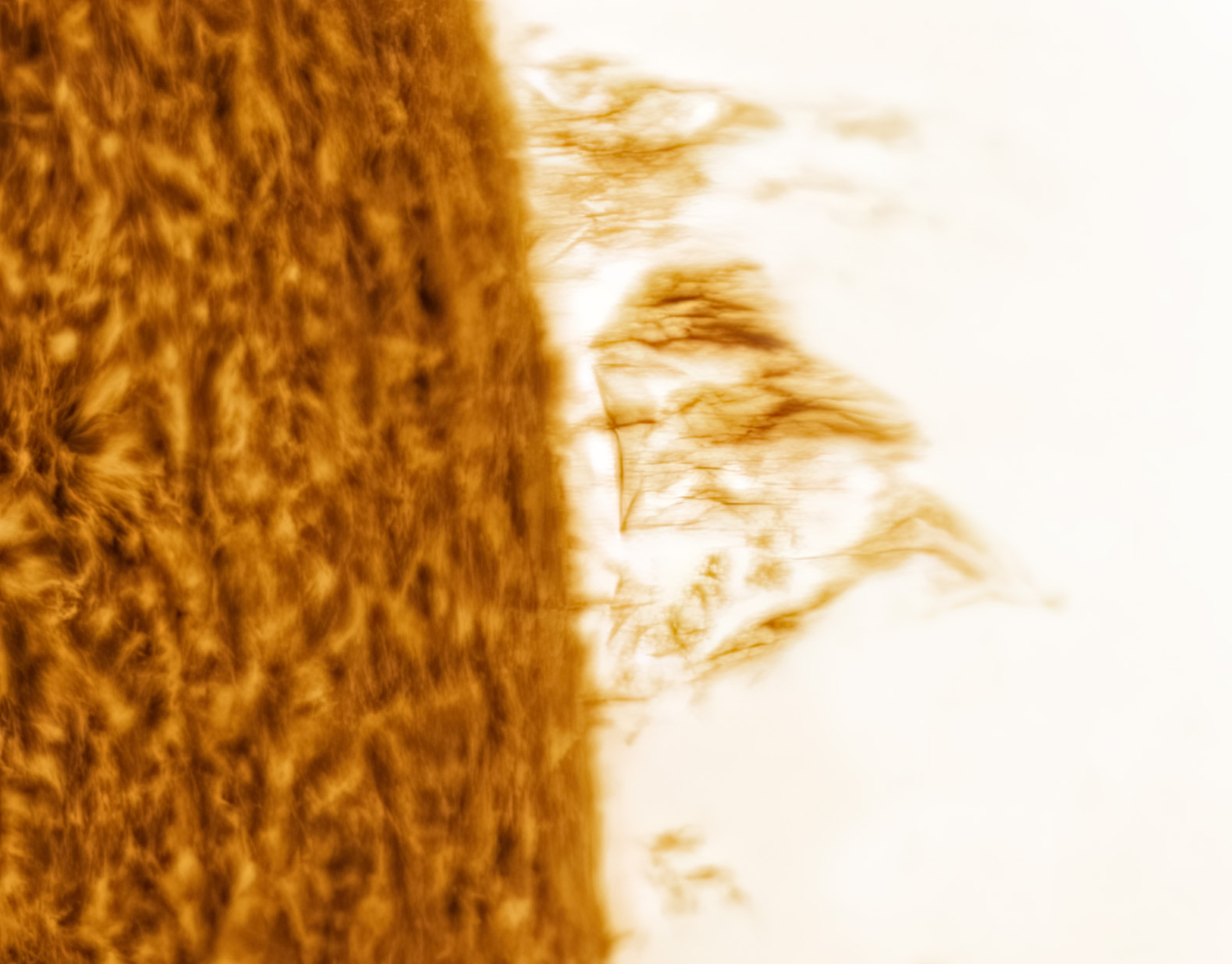 s6.jpg