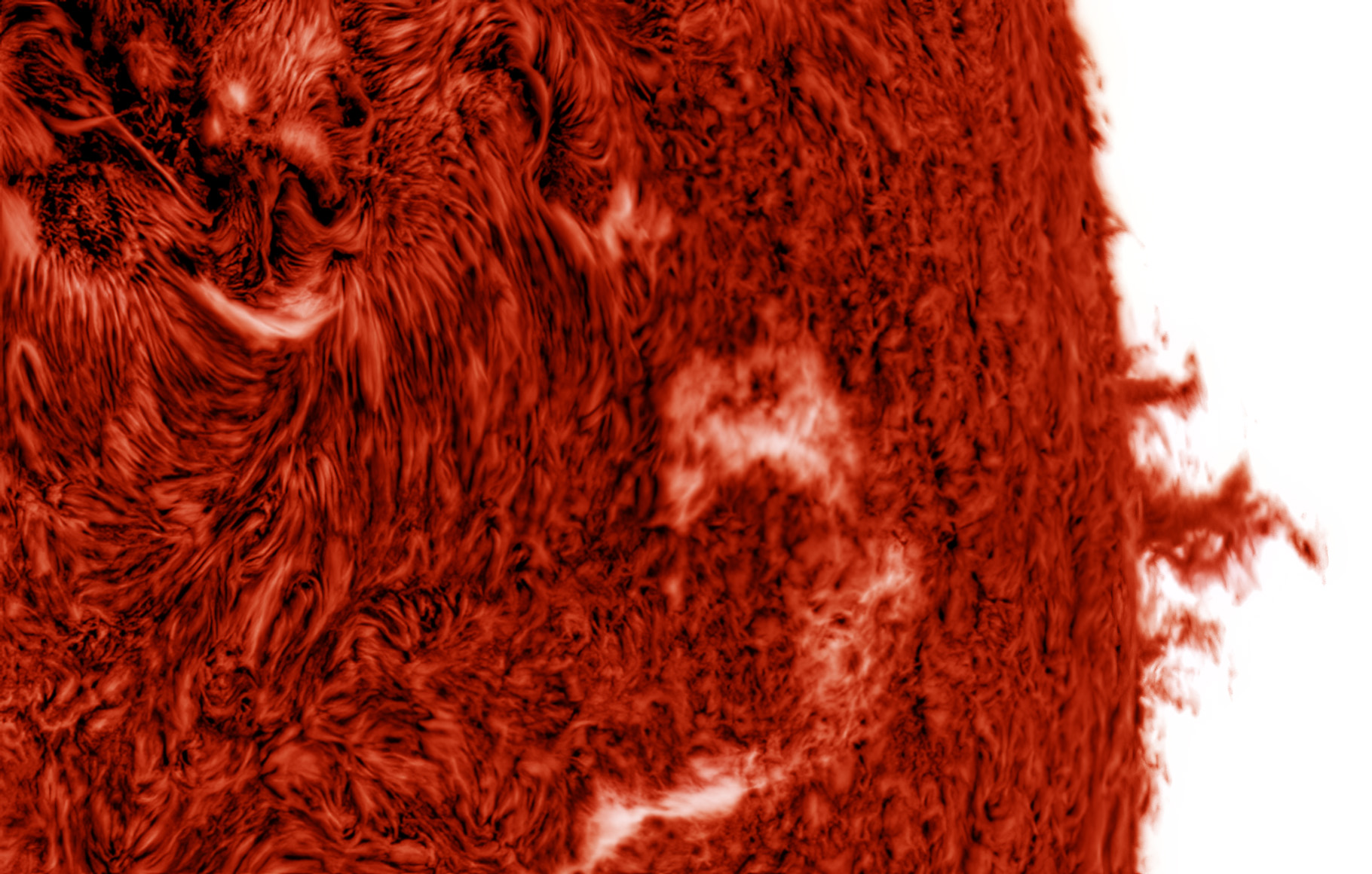 s9c.jpg