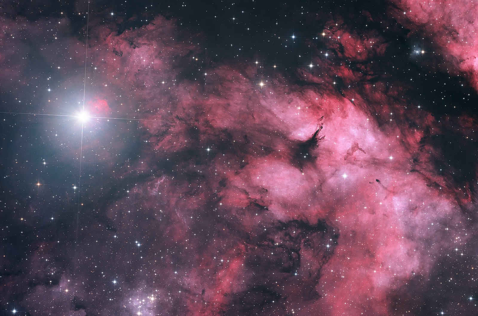 Sadr-Region, IC 1318, LDN 889
