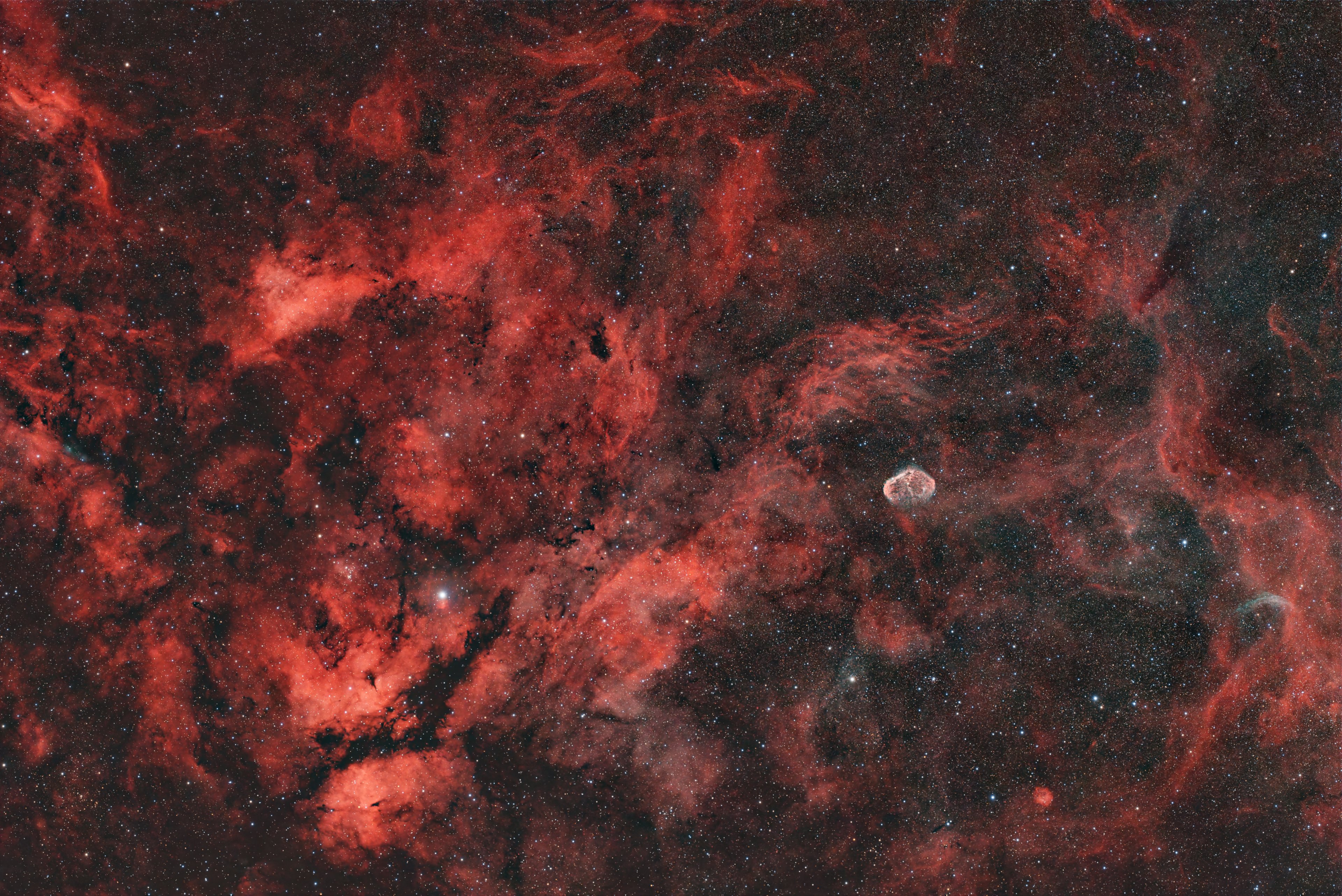 Sadr-Region mit NGC 6888 & IC 1318