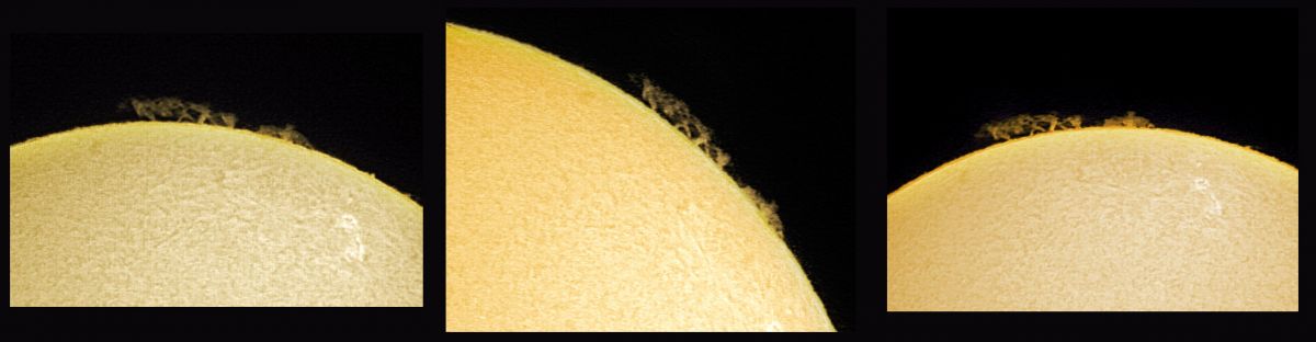 savannenwald_sonne.jpg