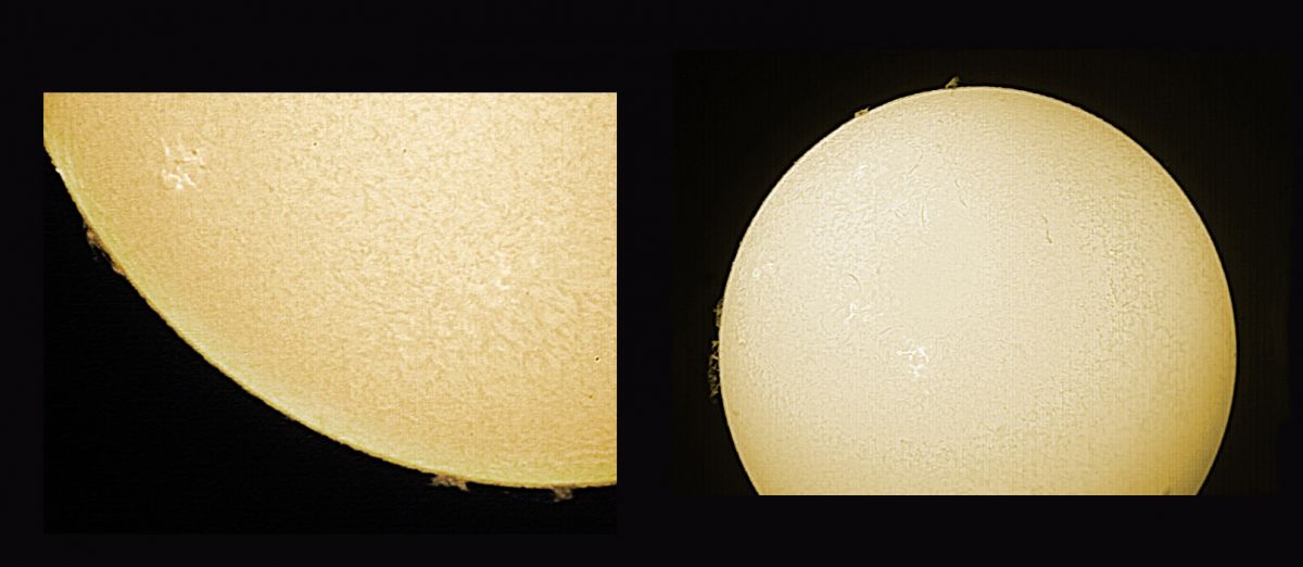 savannenwald_sonne2.jpg