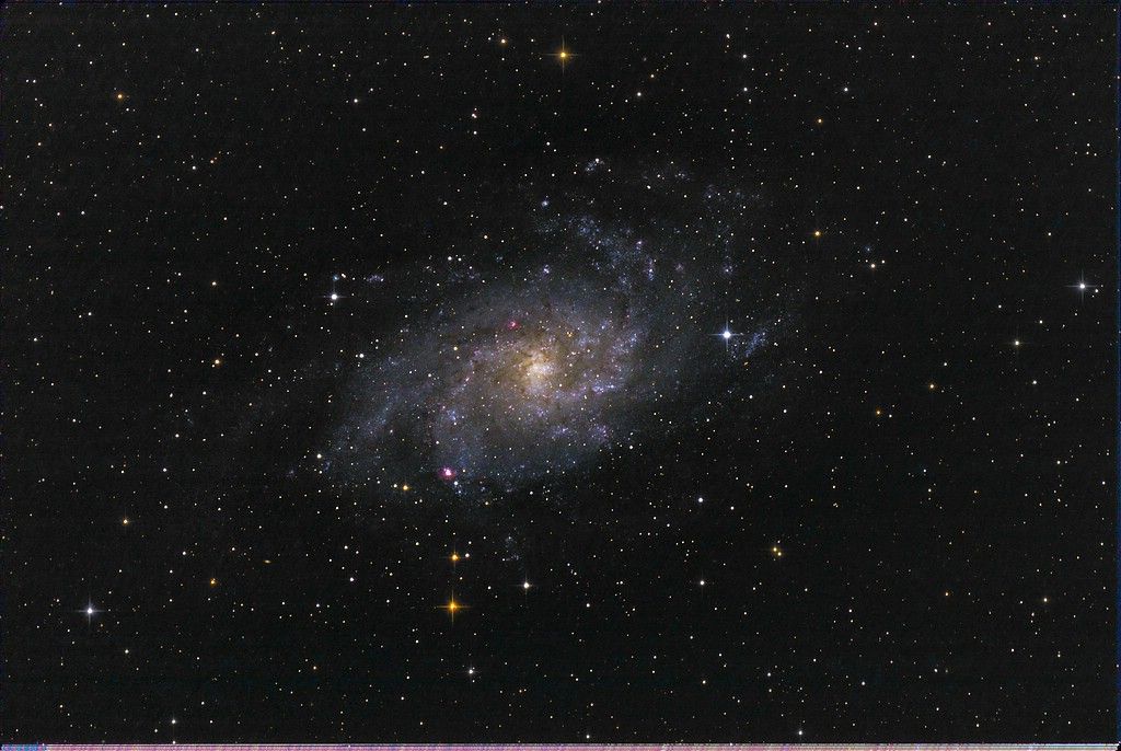 Schnelle M33