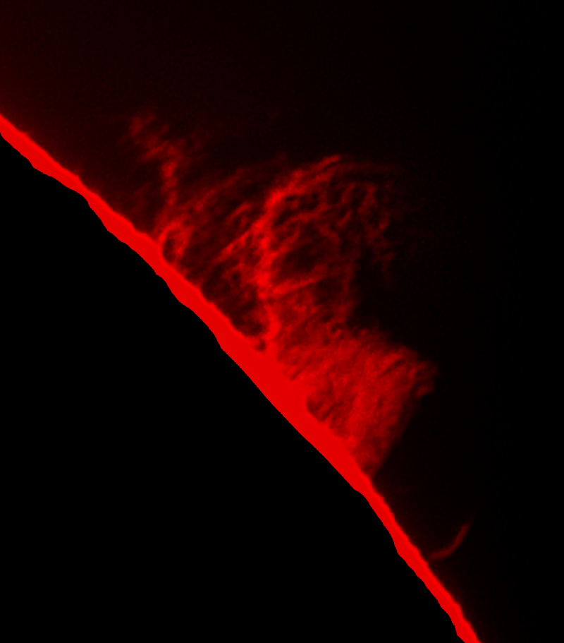 schöne Protuberanz von heute - 14.06.15