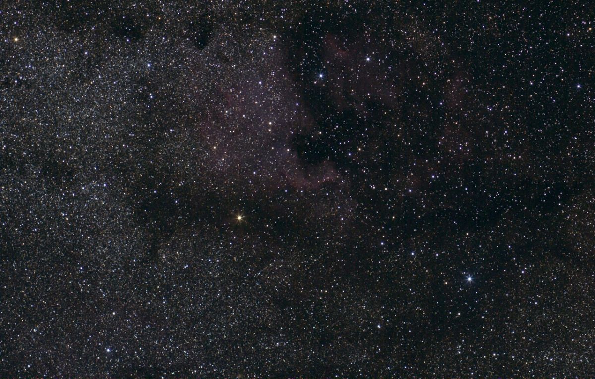 Schwan-85mm-zoom-web.jpg