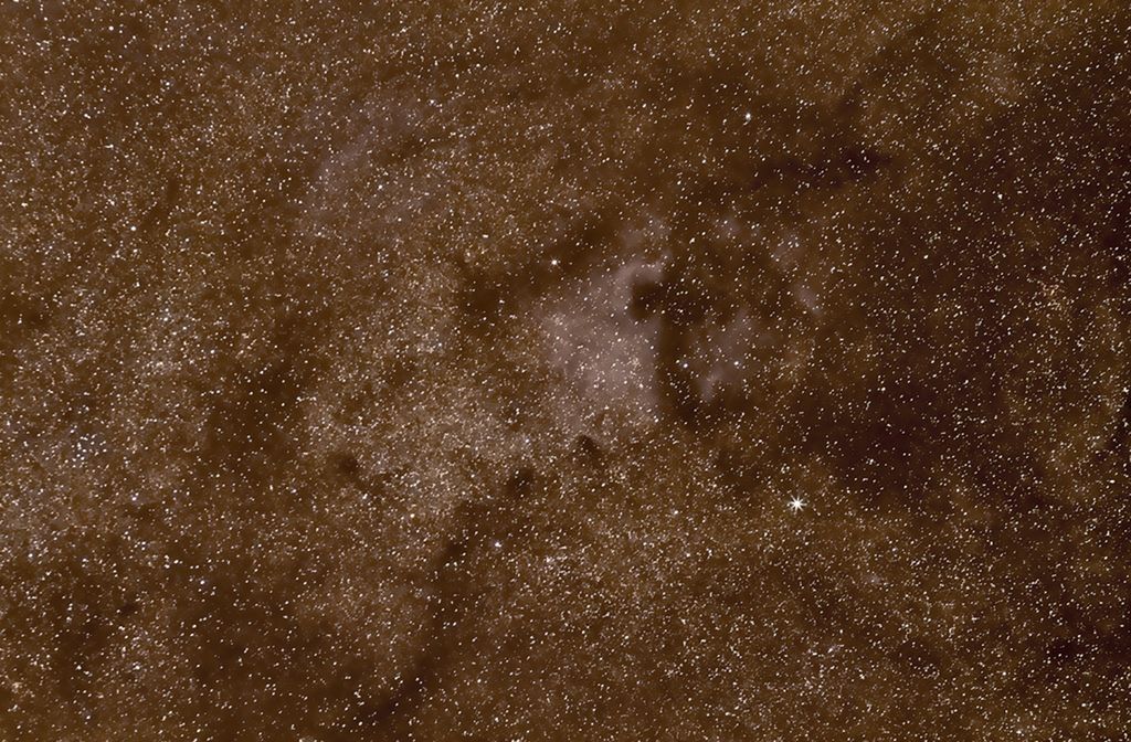 Schwan mit Canon 85 1.8 auf Astrotrac