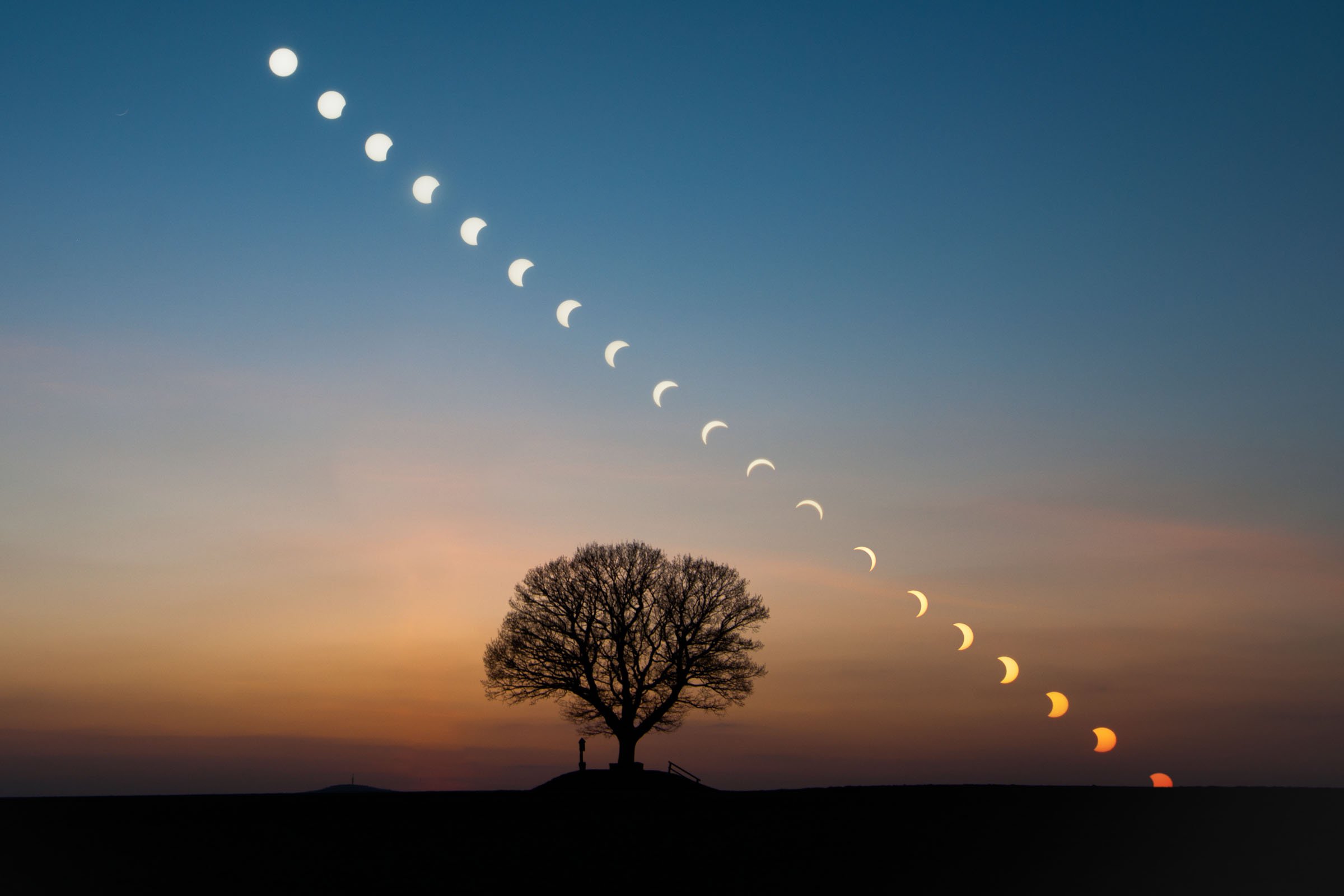 Sequenz der Sonnenfinsternis mit meinem Lieblingsbaum