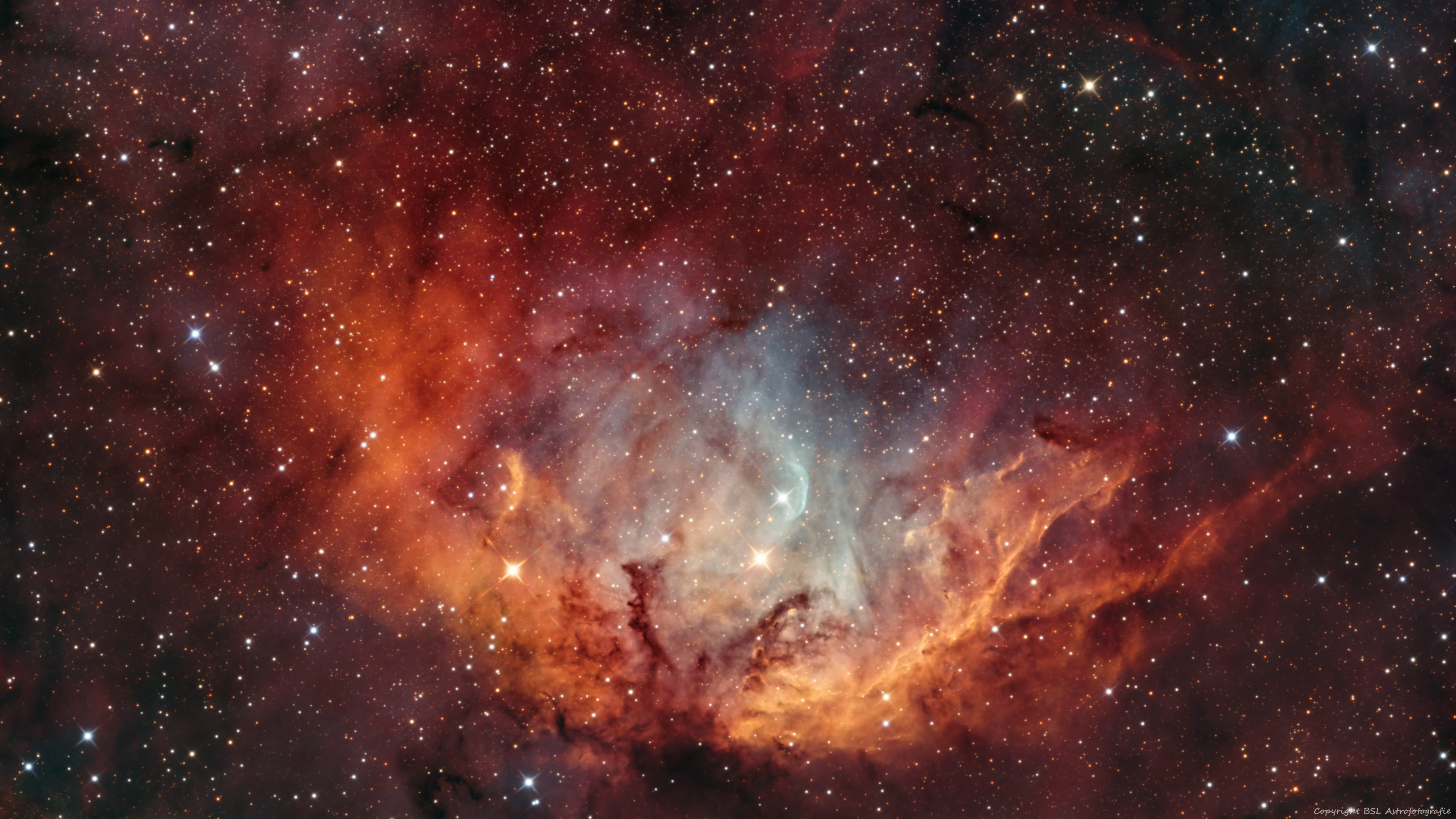 SH2-101_Tulip_20260825_Compress.jpg