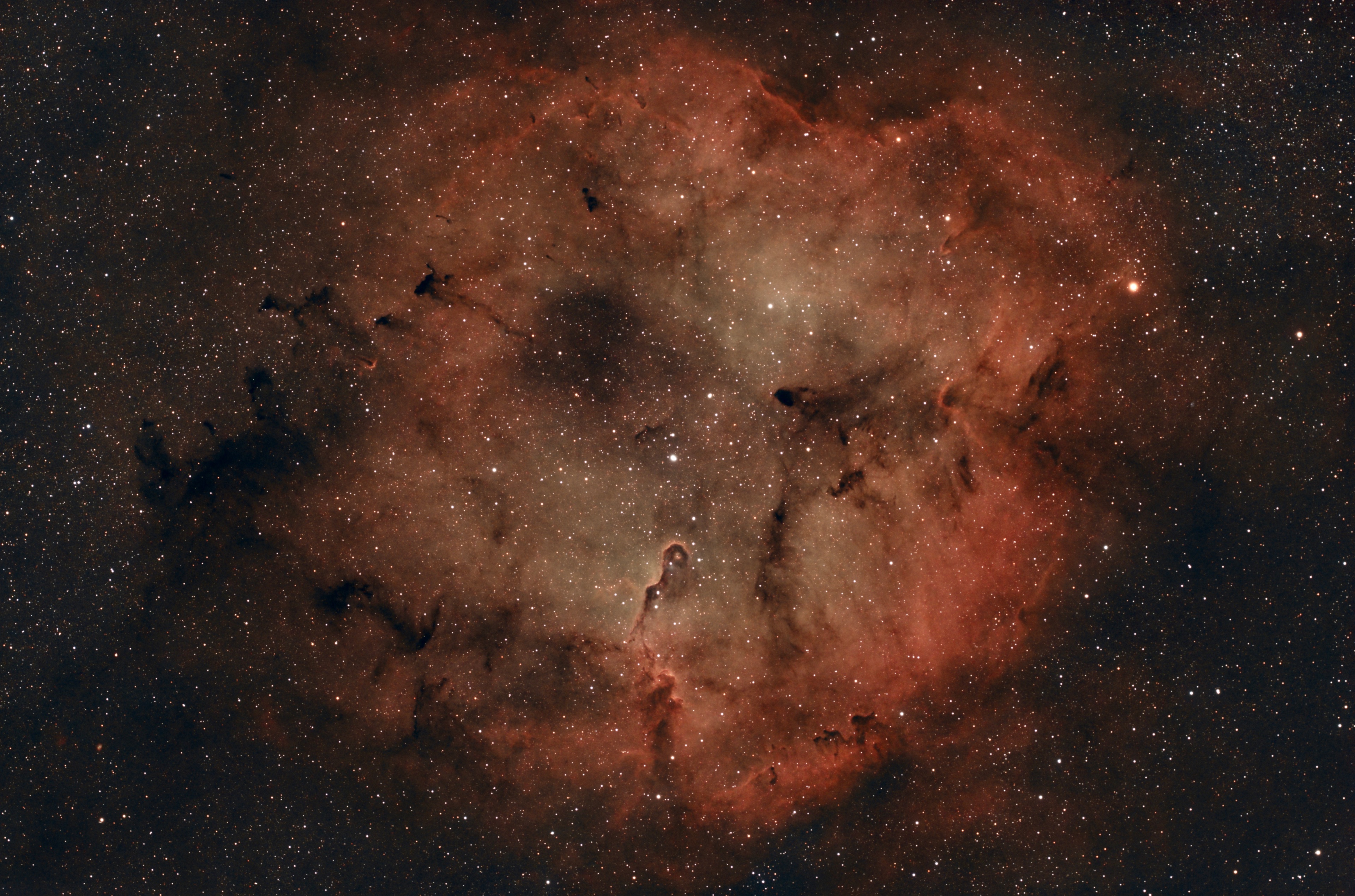 Sh2-131 (IC 1396 ) mit IC 1396A (Elefantenrüsselnebel)