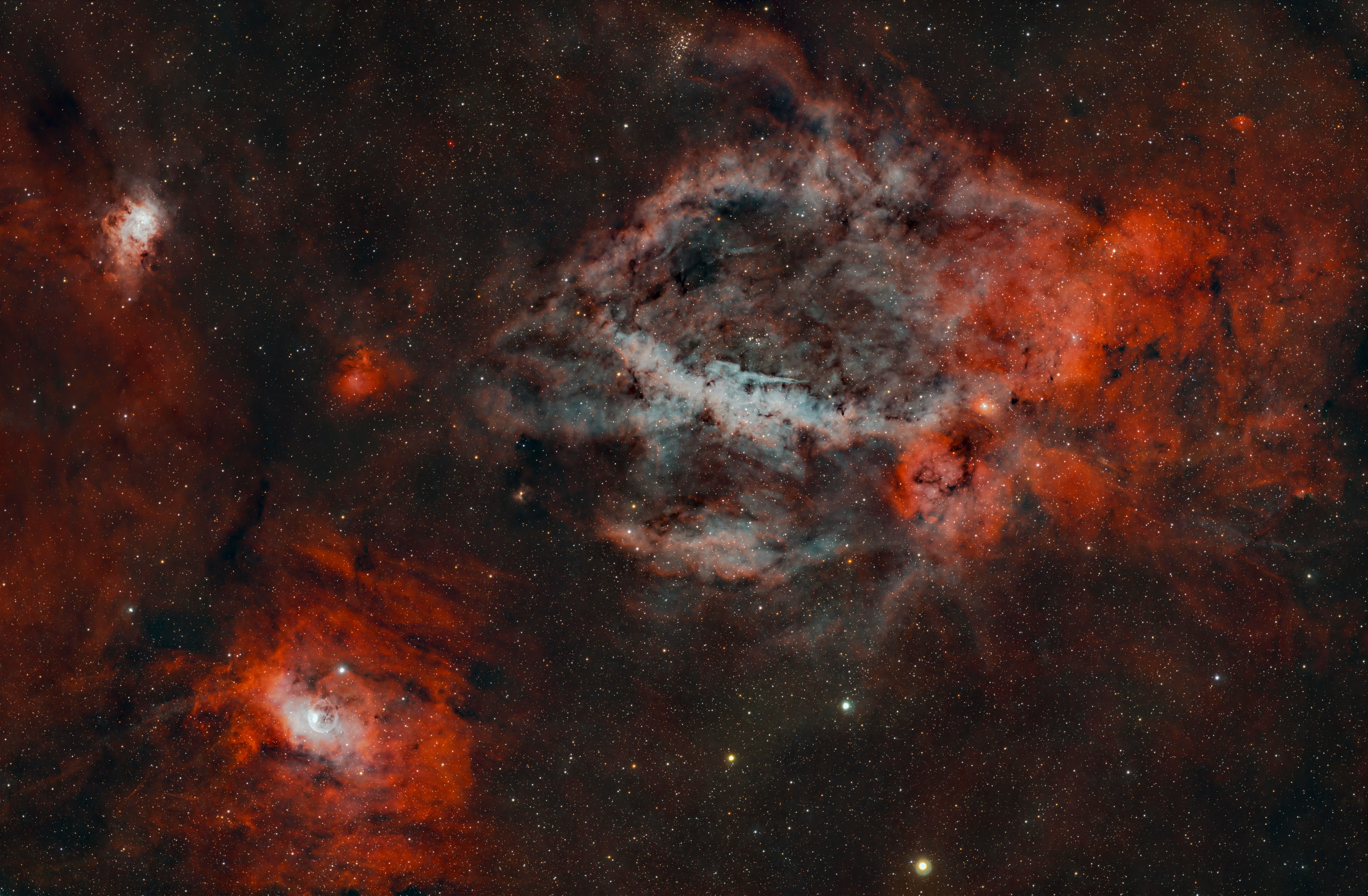 SH_2_157_Hummerschere.JPG