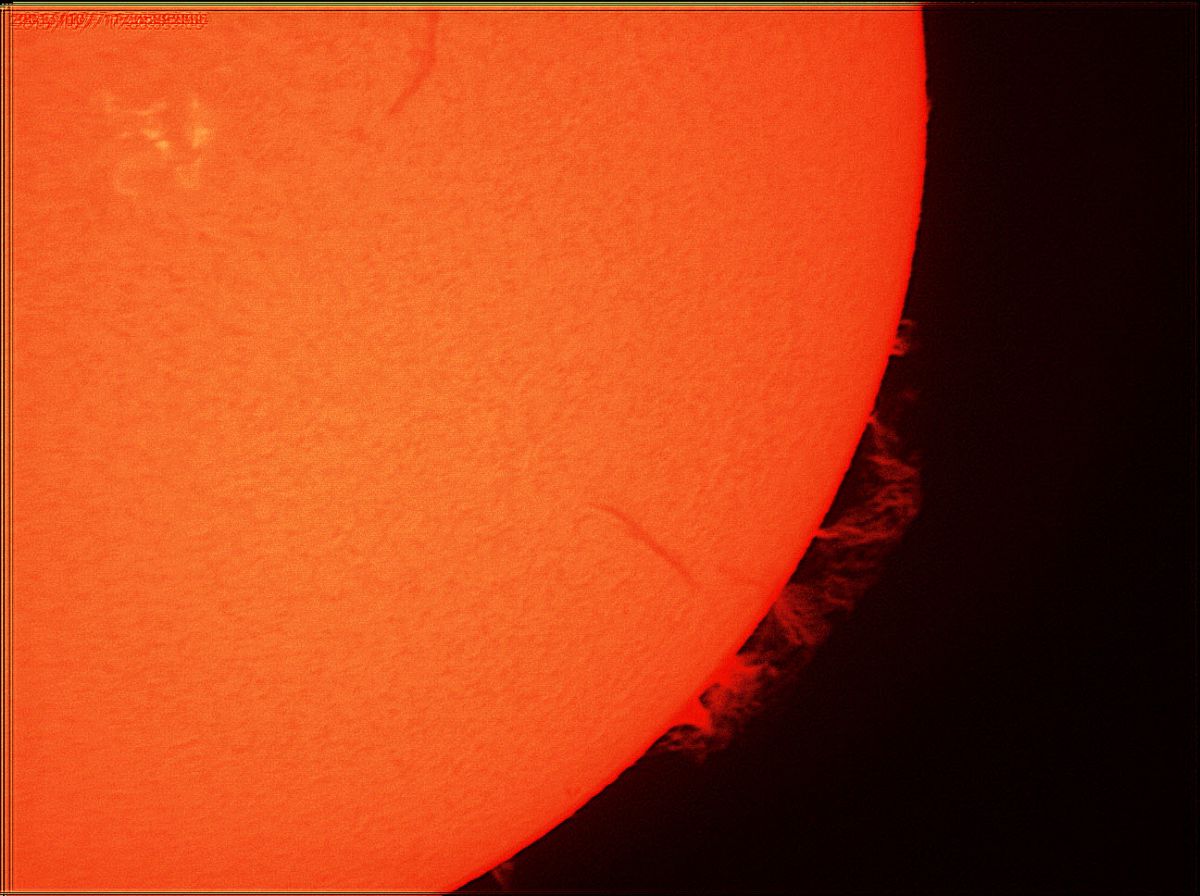 sonne 07 10 13 pro i.jpg