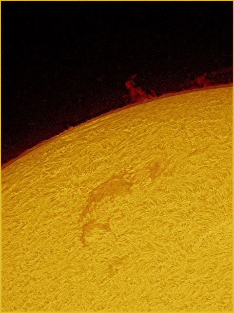 Sonne 11-04 mit auseinandergefallenen Fisch