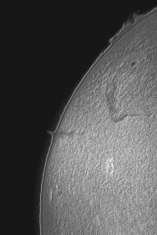 sonne 3 8 1249 IP F_2 FITSW APE PP sw.jpg