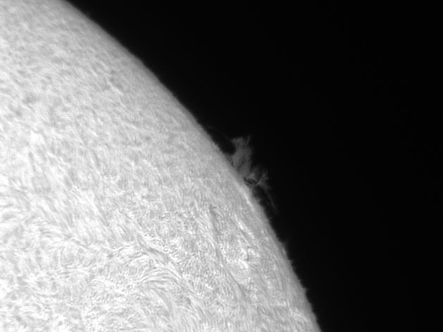Sonne 4_2_2012 Bild_1.jpg
