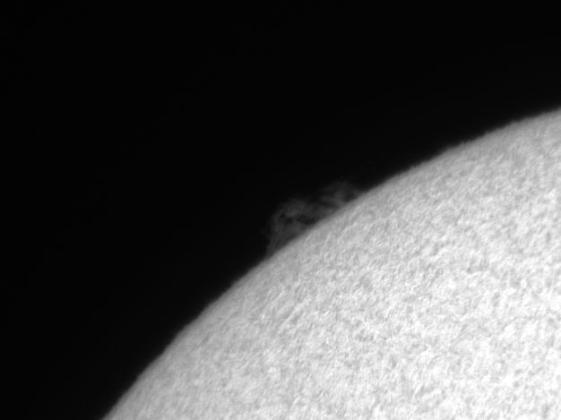 Sonne 4_2_2012 Bild_2.jpg