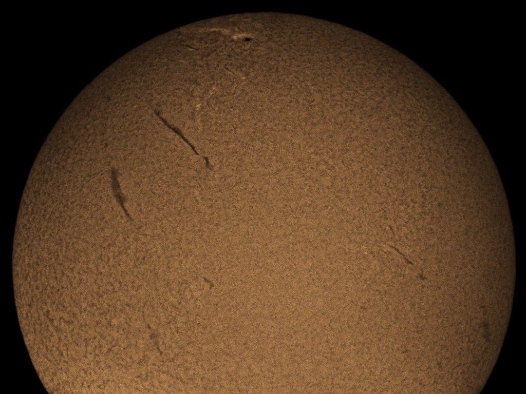Sonne Ha   20100729