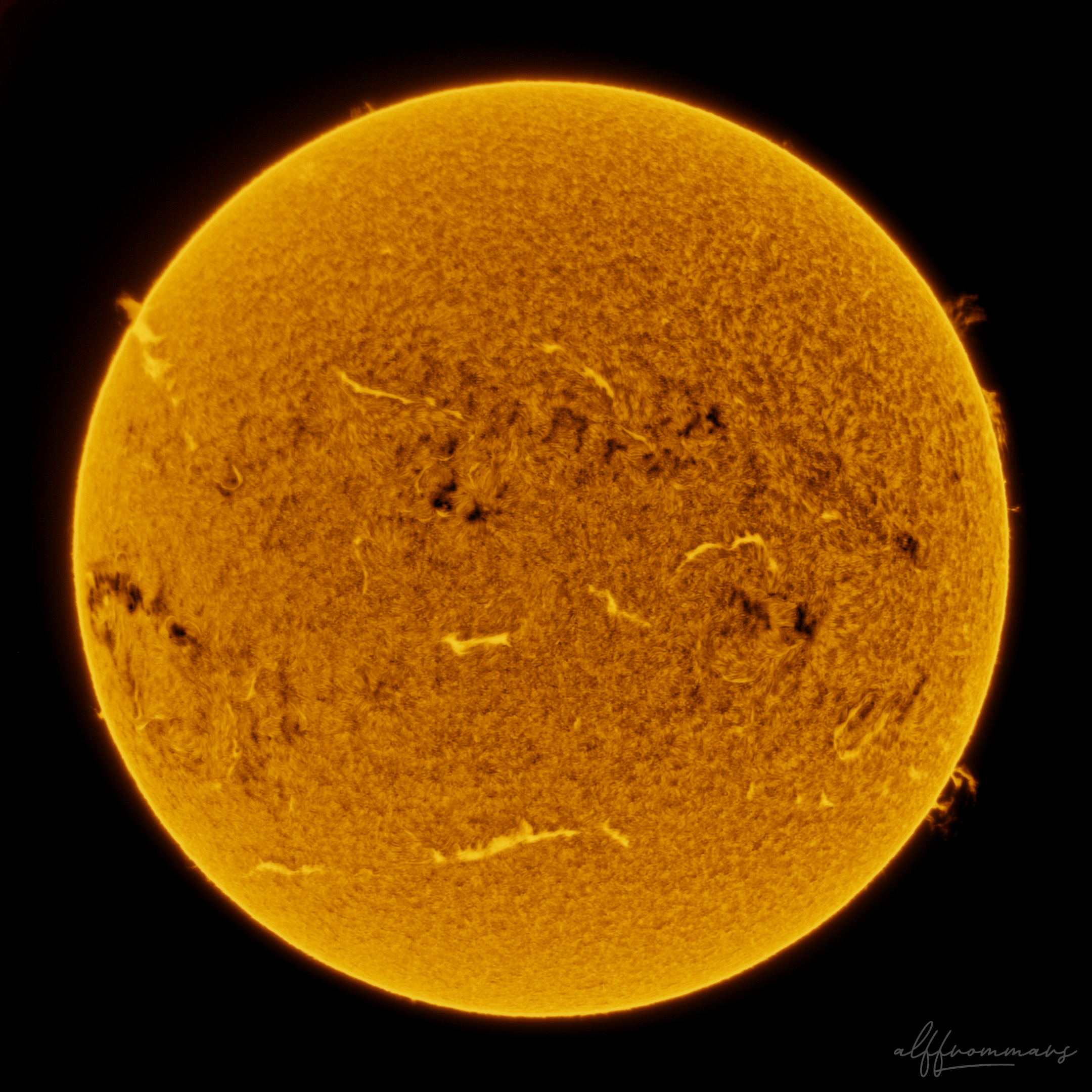 Sonne Ha