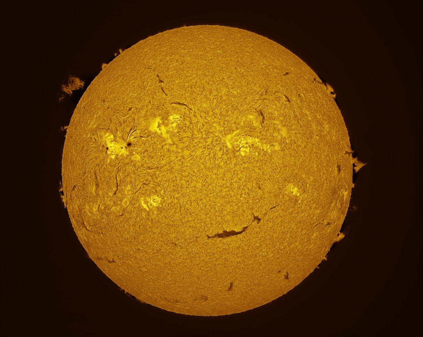 Sonne Ha